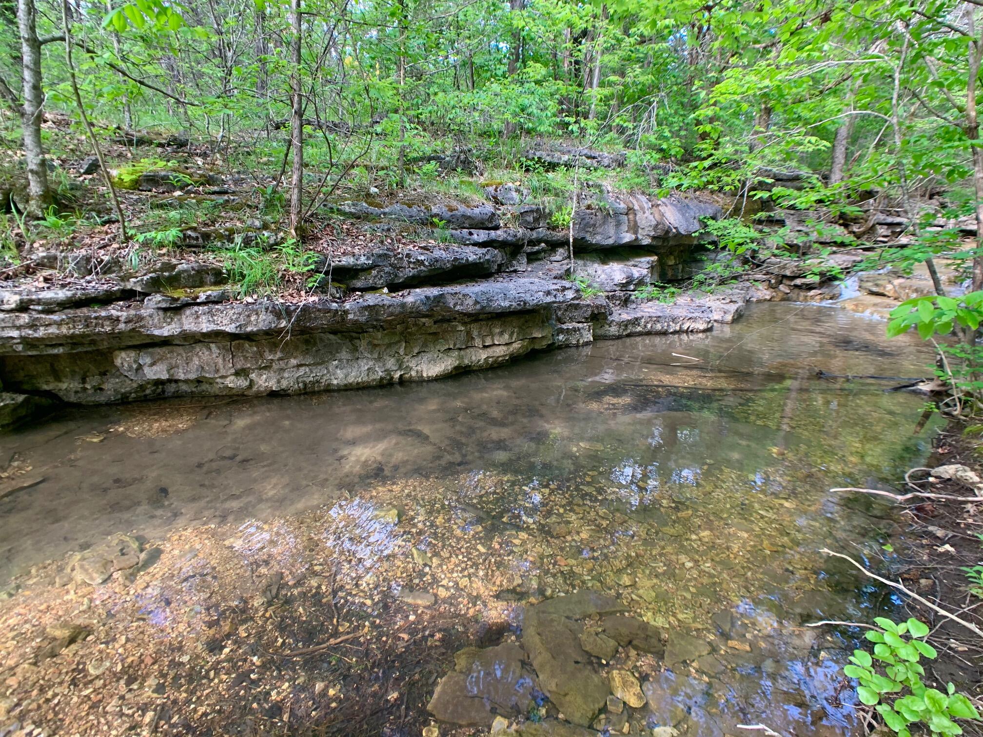 Photo 41 - Land for sale – 000  Farm Road 1280   Shell Knob, MO