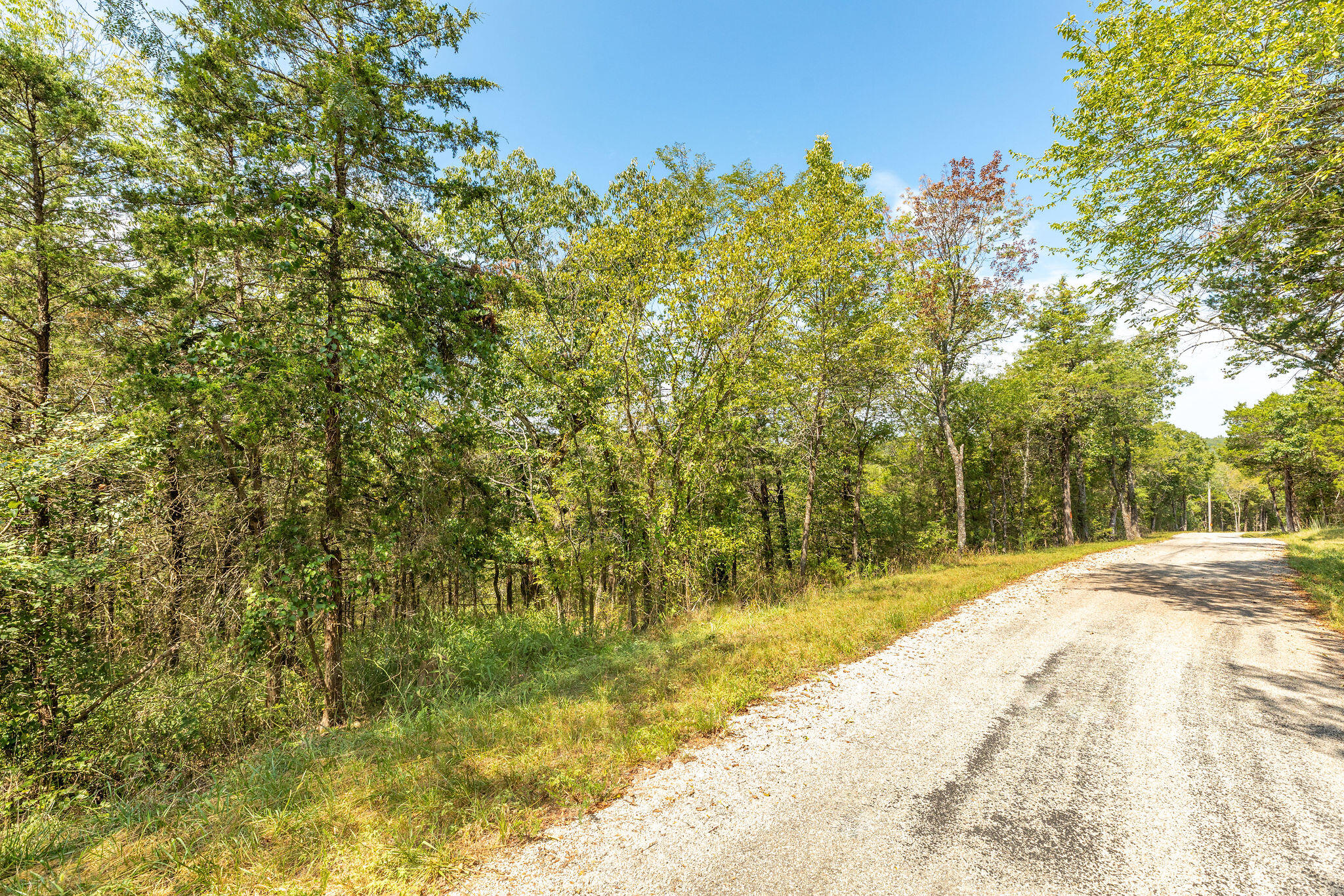 Photo 4 - Land for sale – Lot 1  Savage Road  Kirbyville, MO