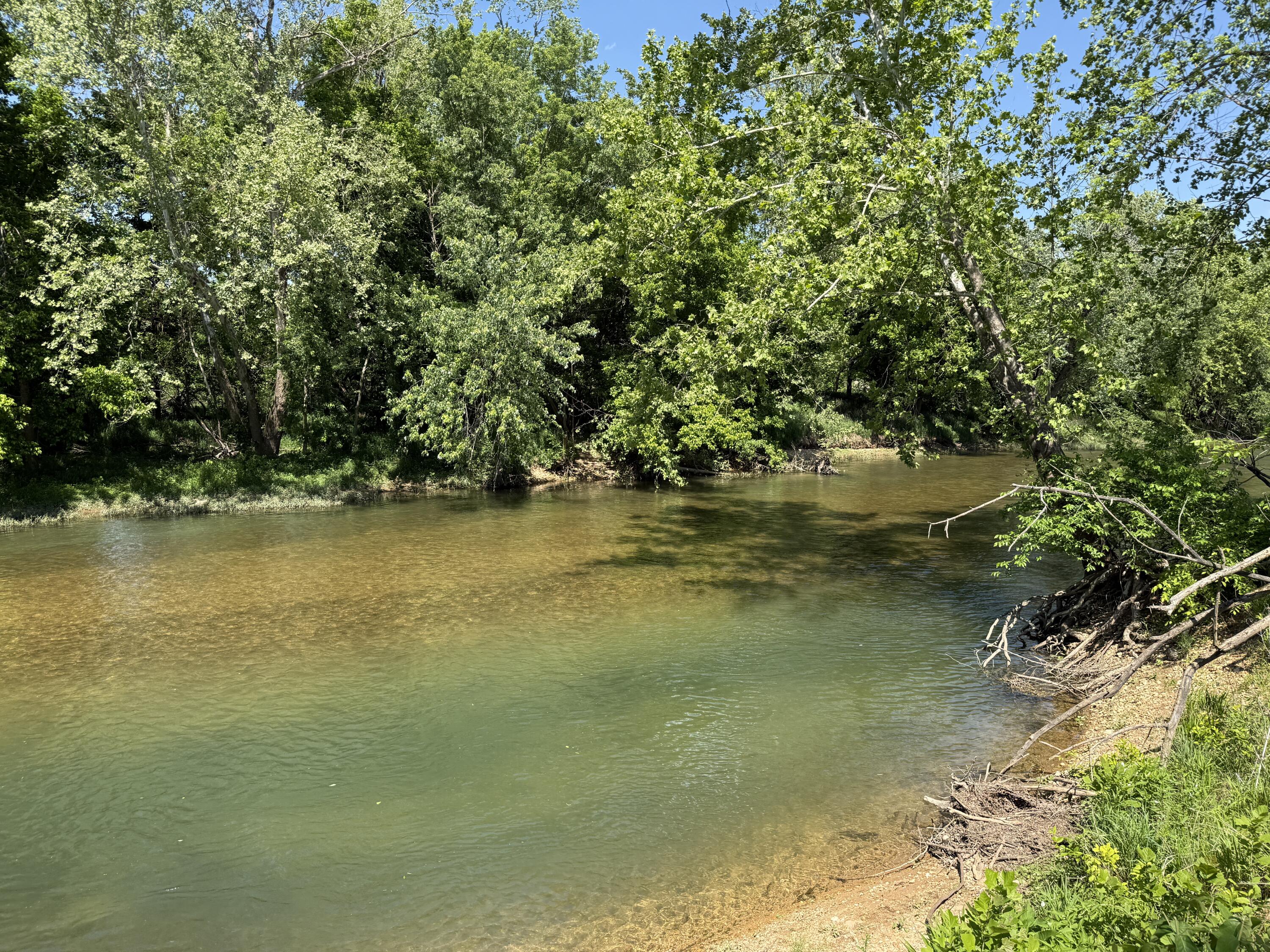 Photo 10 - Land for sale – Tract 1  Riverpointe View   Ozark, MO