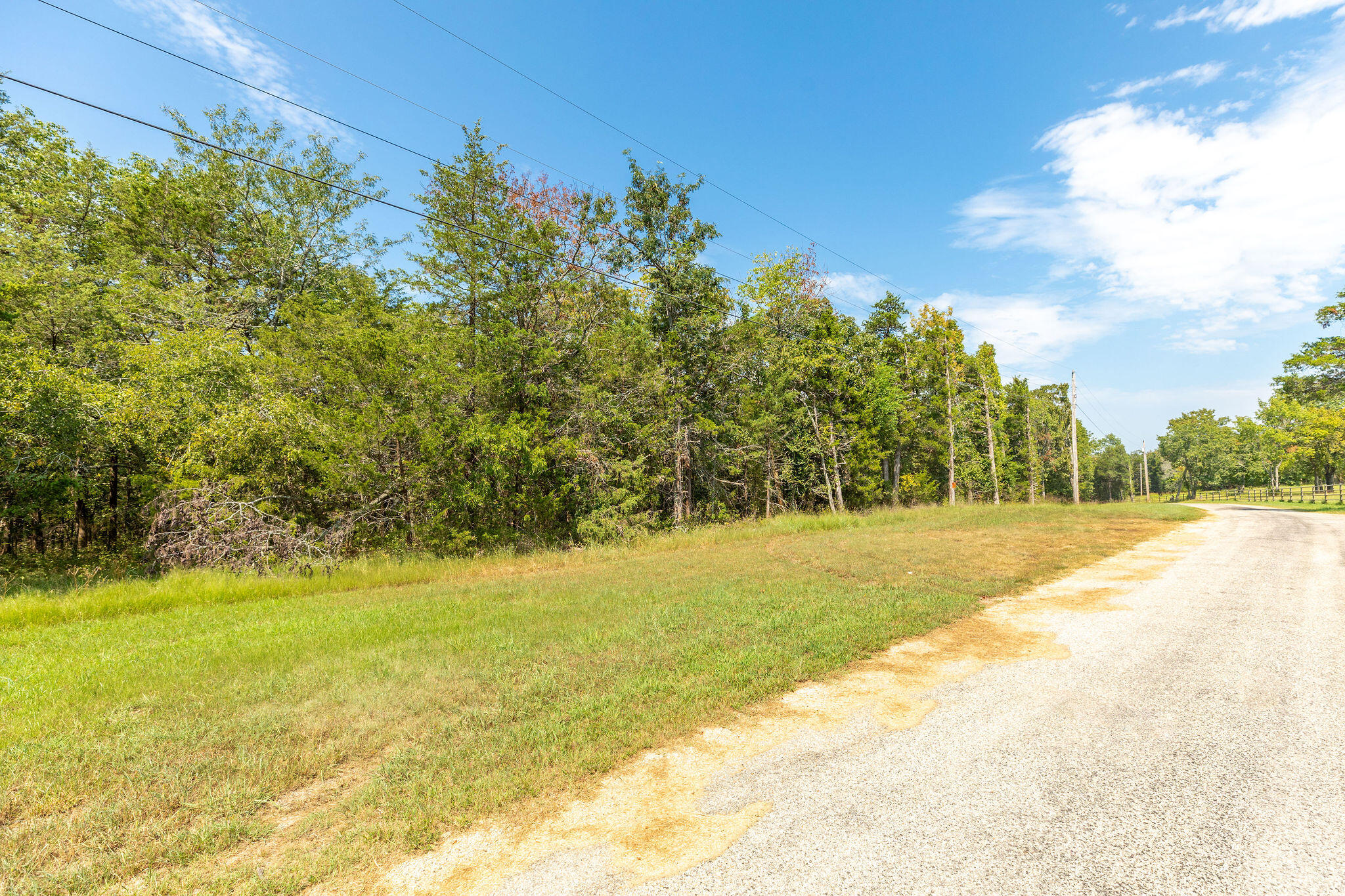 Photo 3 - Land for sale – Lot 3  Savage Road  Kirbyville, MO