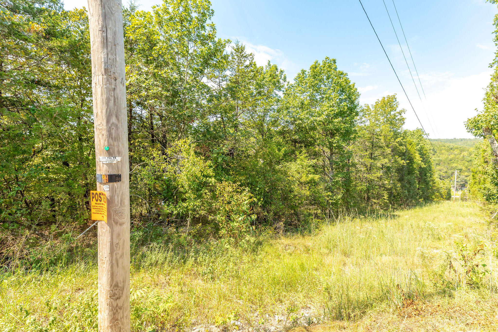 Photo 5 - Land for sale – Lot 5  Savage Road  Kirbyville, MO
