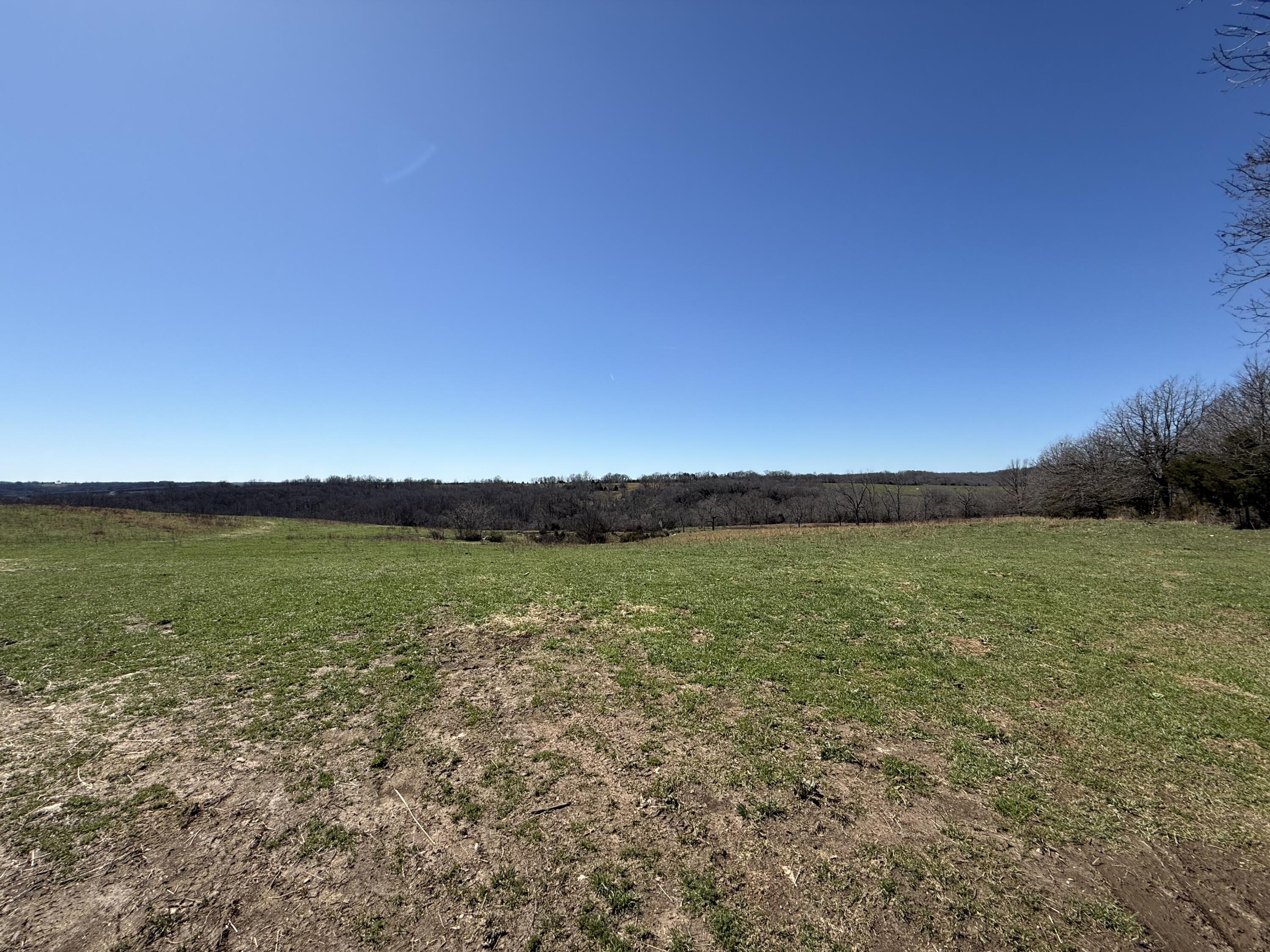 Photo 3 - Land for sale – 000  Barnum Drive Tract H   Cabool, MO