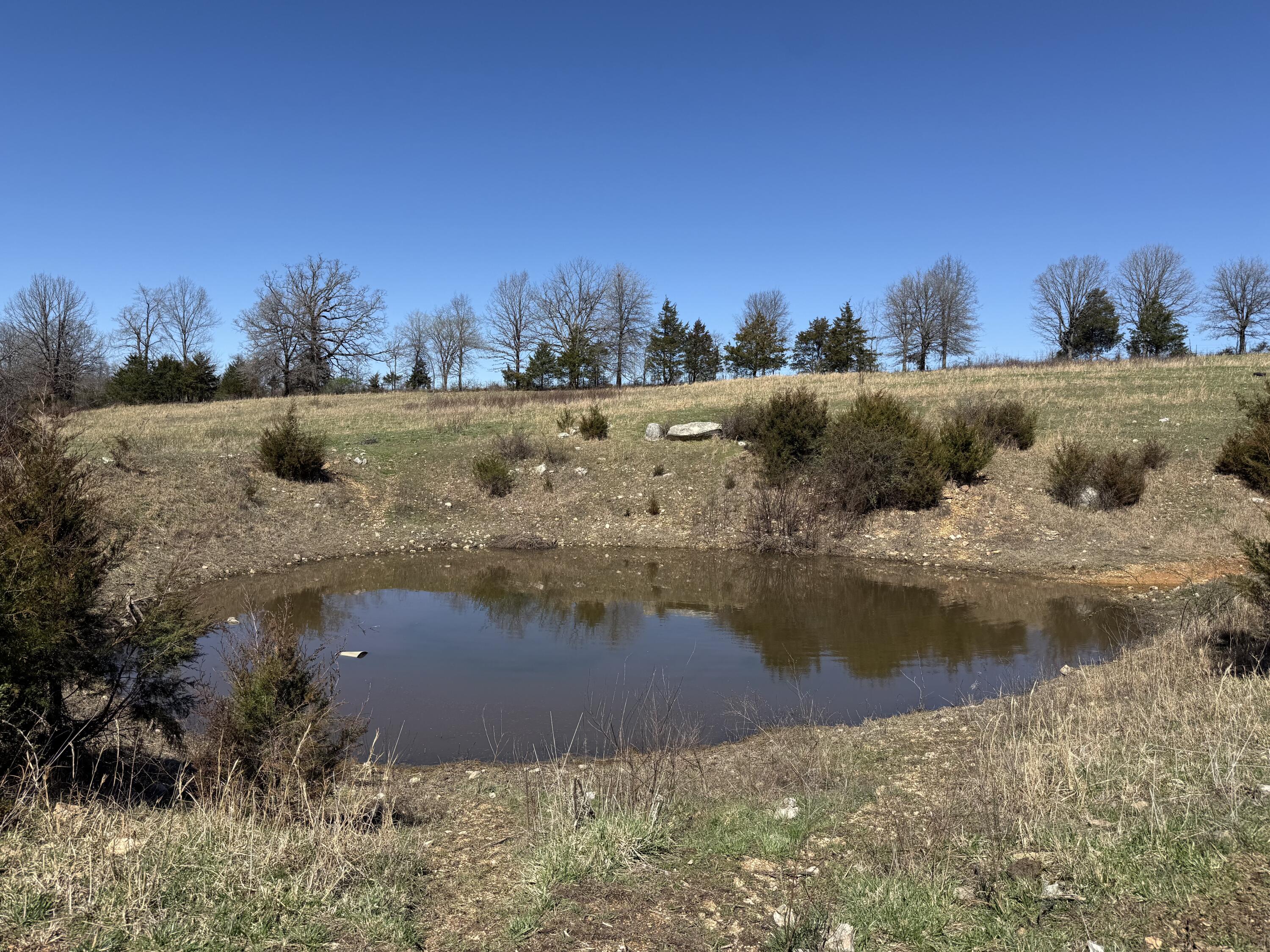 Photo 4 - Land for sale – 000  Barnum Drive Tract H   Cabool, MO