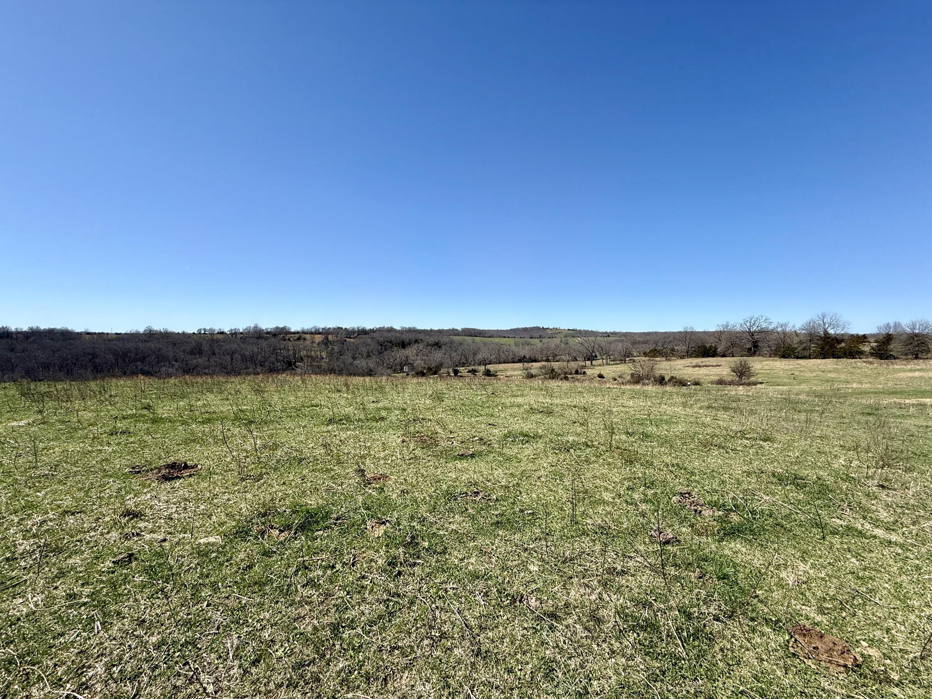 Photo 6 - Land for sale – 000  Barnum Drive Tract H   Cabool, MO