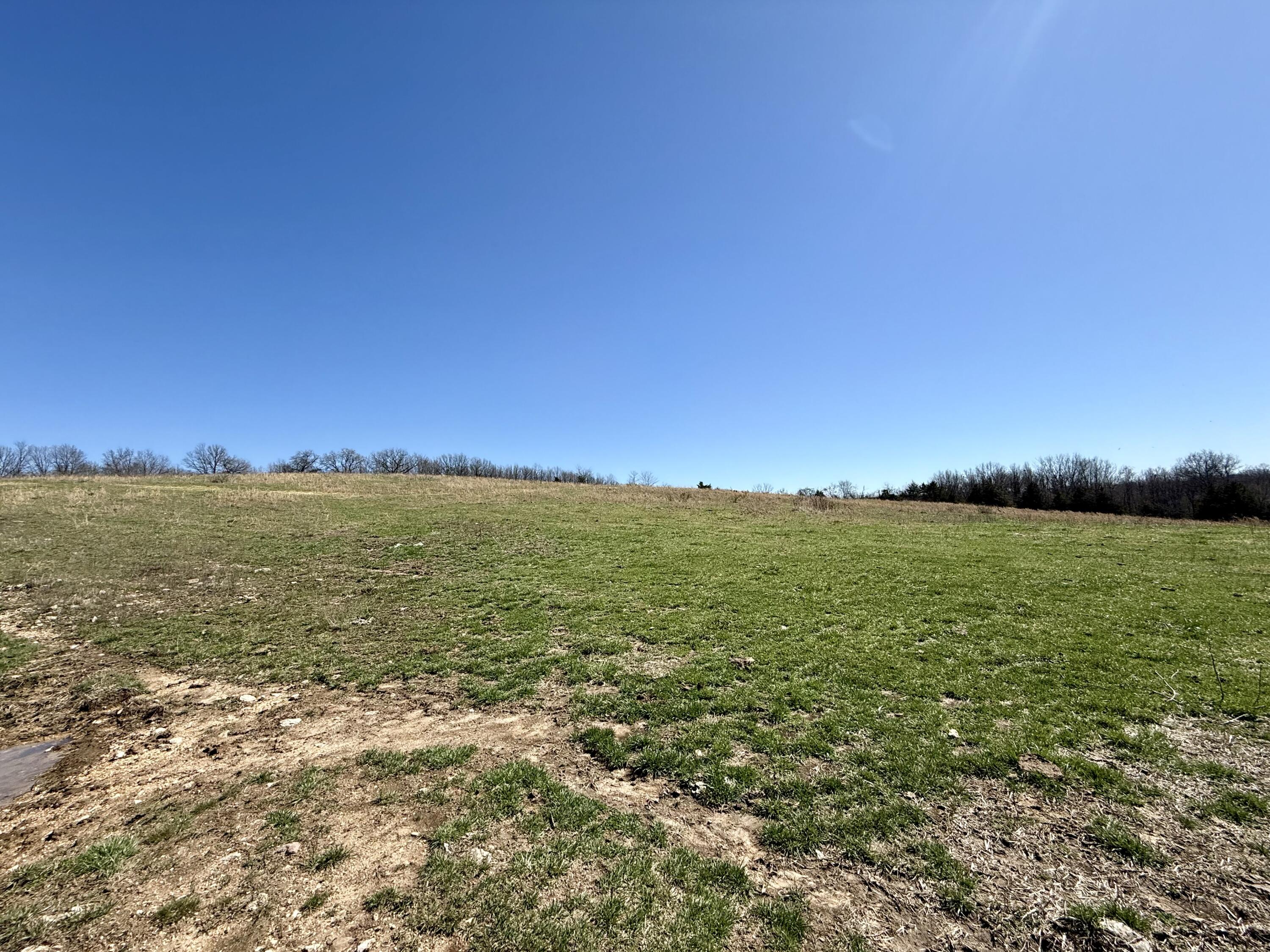 Photo 5 - Land for sale – 000  Barnum Drive Tract H   Cabool, MO