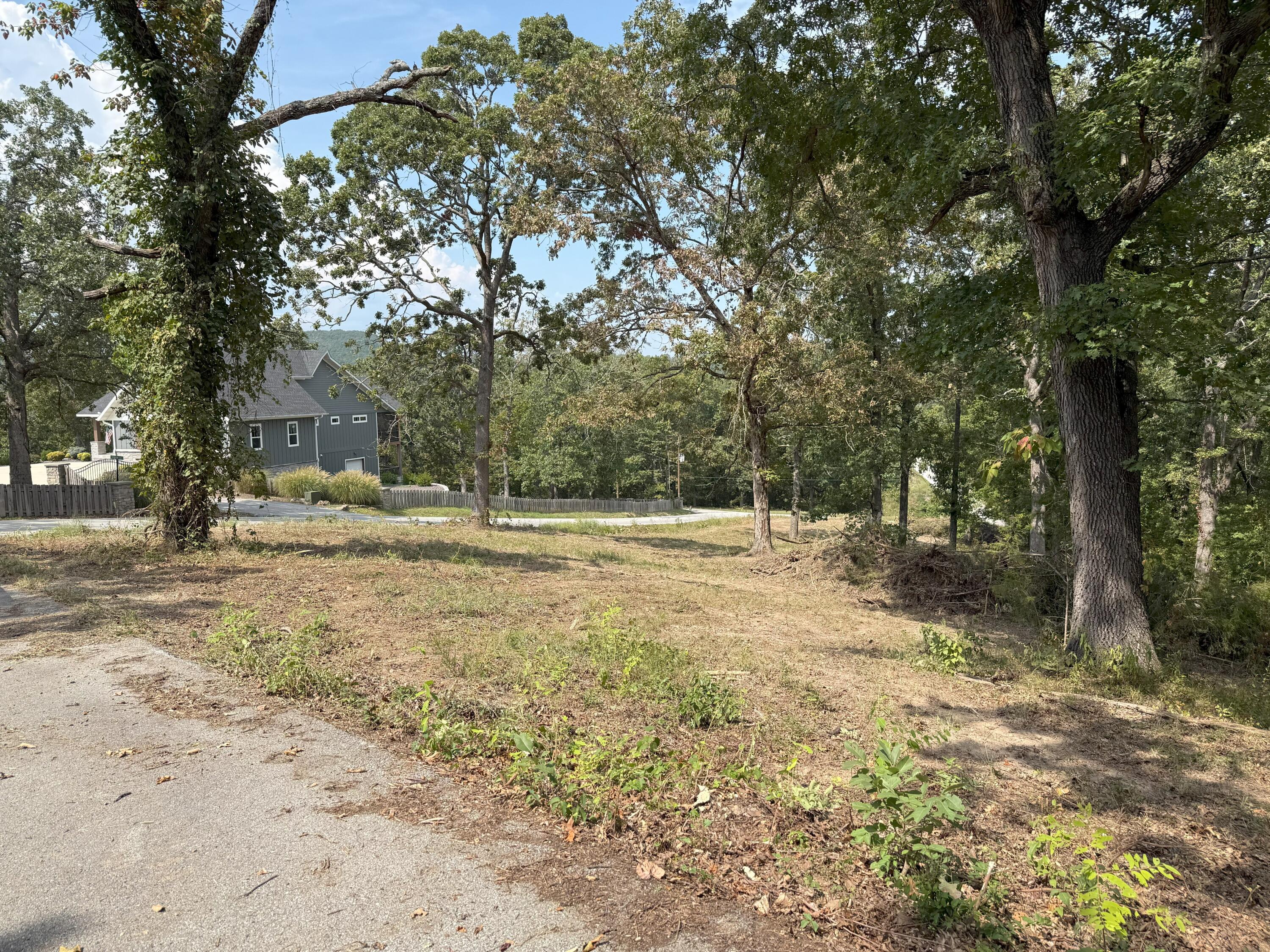 Photo 16 - Land for sale – 000  Black Oak Resort Lane  Lampe, MO