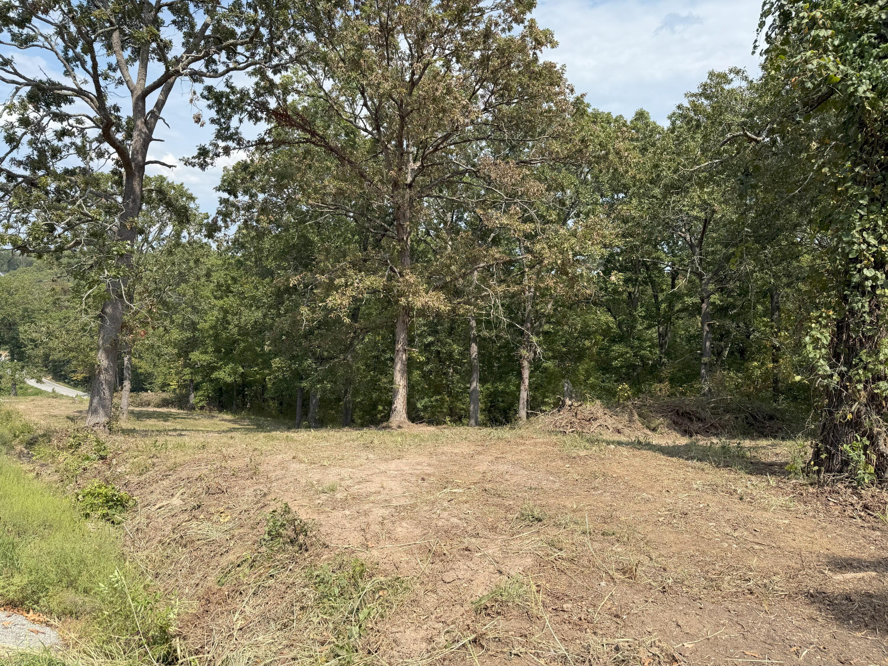 Photo 15 - Land for sale – 000  Black Oak Resort Lane  Lampe, MO