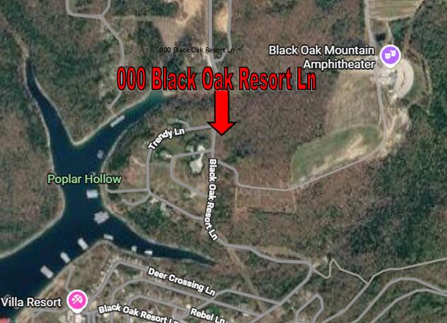Photo 2 - Land for sale – 000  Black Oak Resort Lane  Lampe, MO