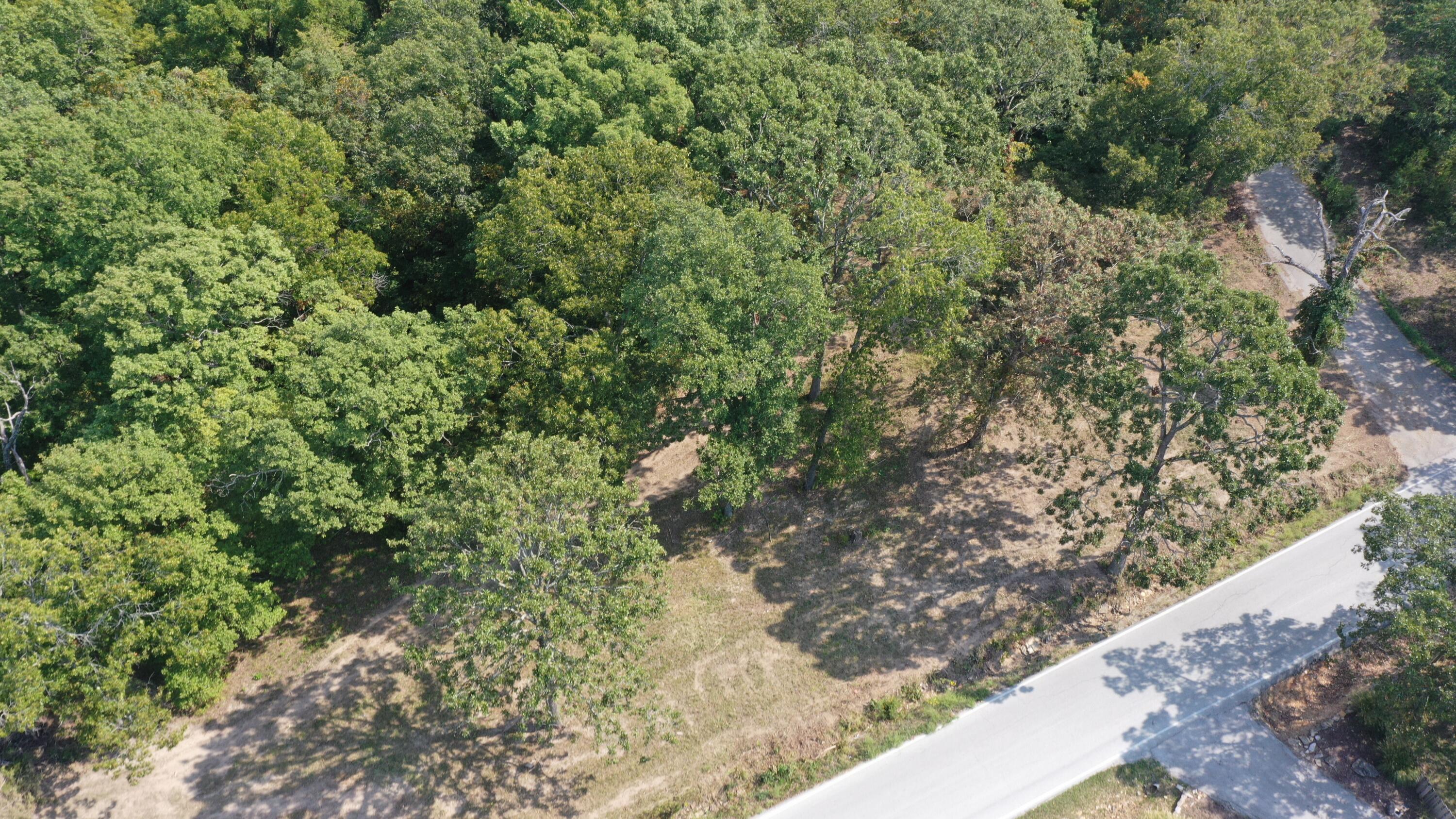 Photo 8 - Land for sale – 000  Black Oak Resort Lane  Lampe, MO