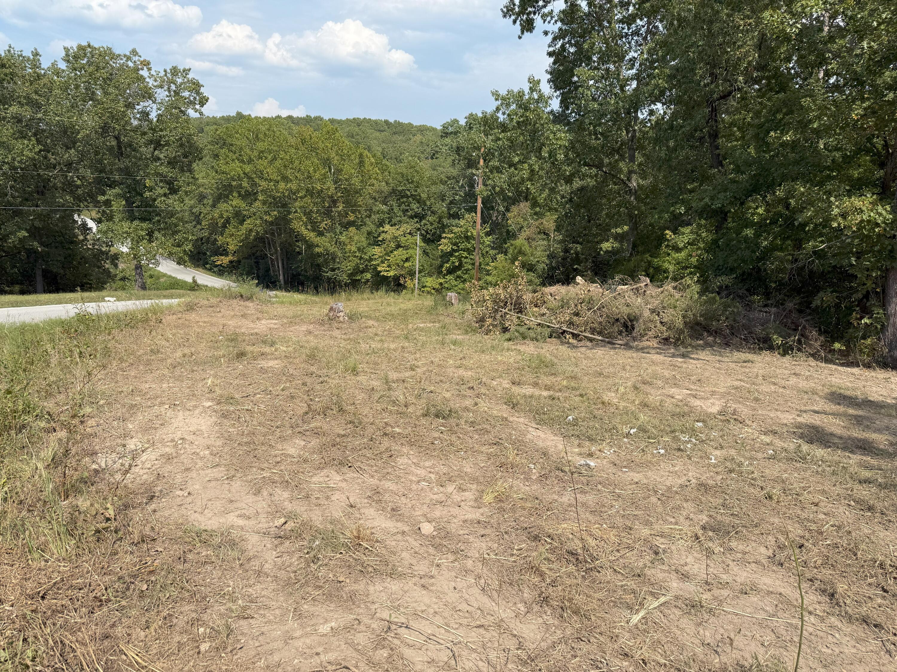 Photo 14 - Land for sale – 000  Black Oak Resort Lane  Lampe, MO