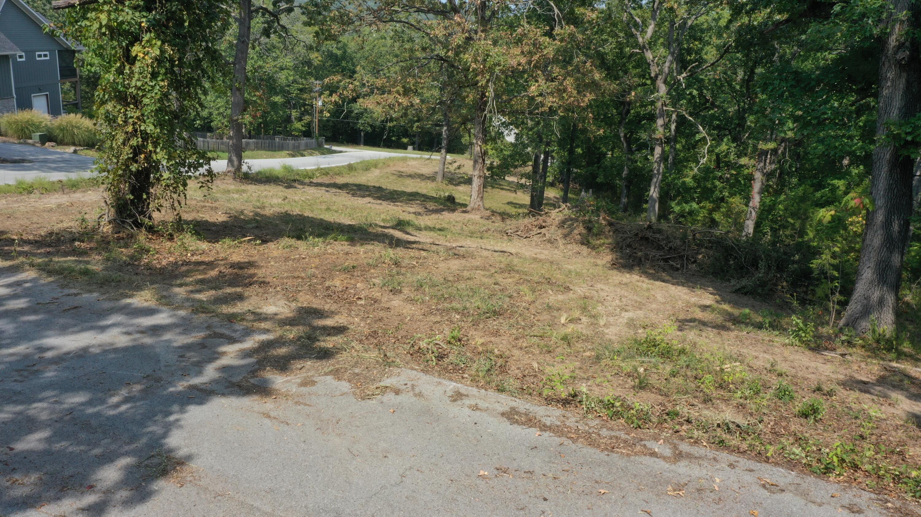 Photo 5 - Land for sale – 000  Black Oak Resort Lane  Lampe, MO