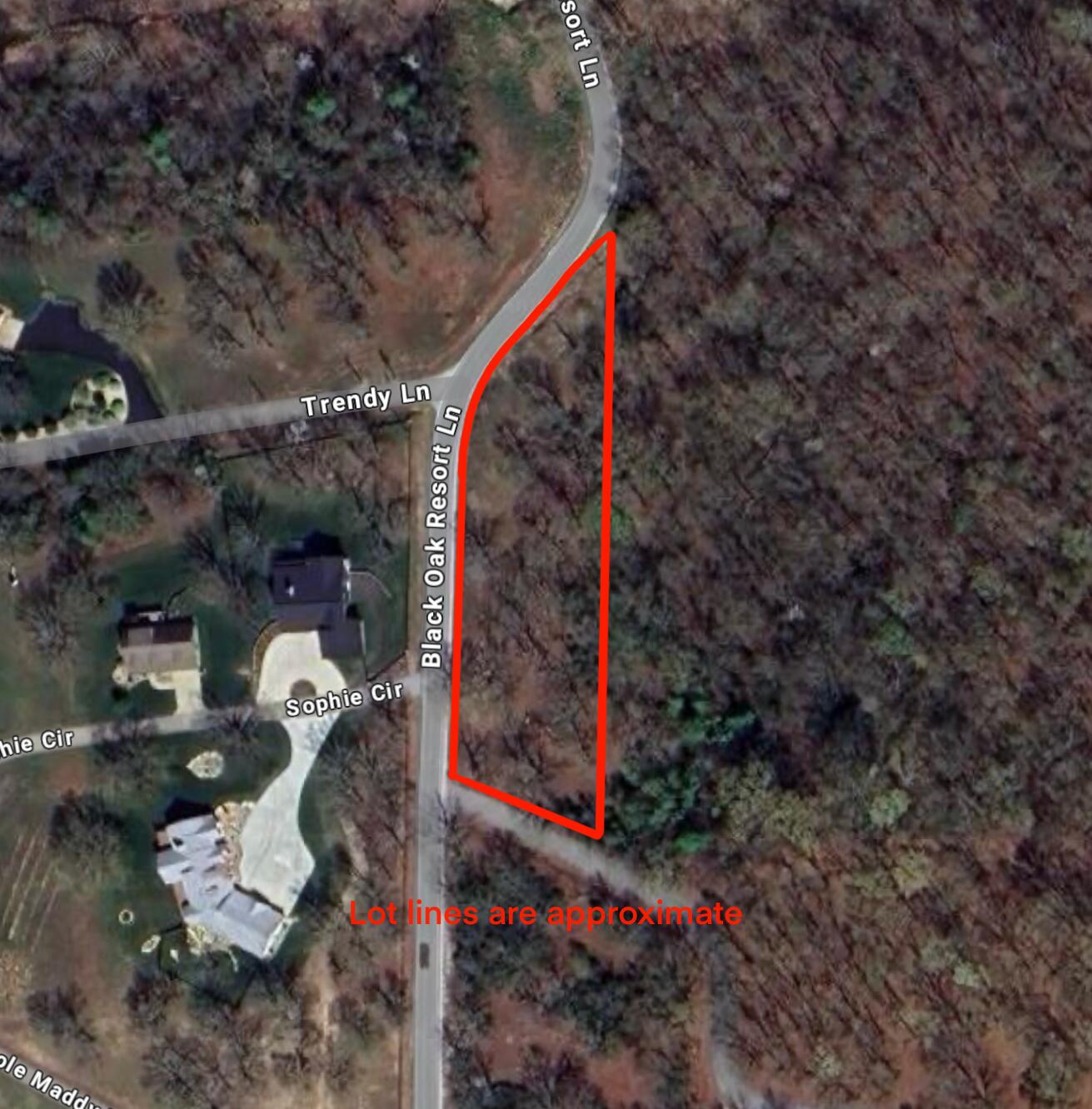 Photo 3 - Land for sale – 000  Black Oak Resort Lane  Lampe, MO