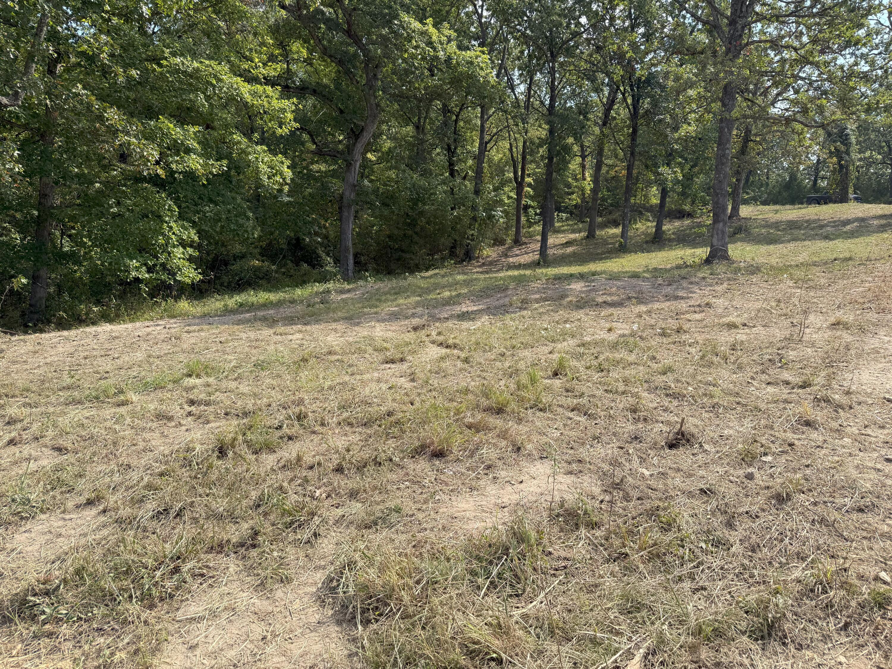 Photo 12 - Land for sale – 000  Black Oak Resort Lane  Lampe, MO