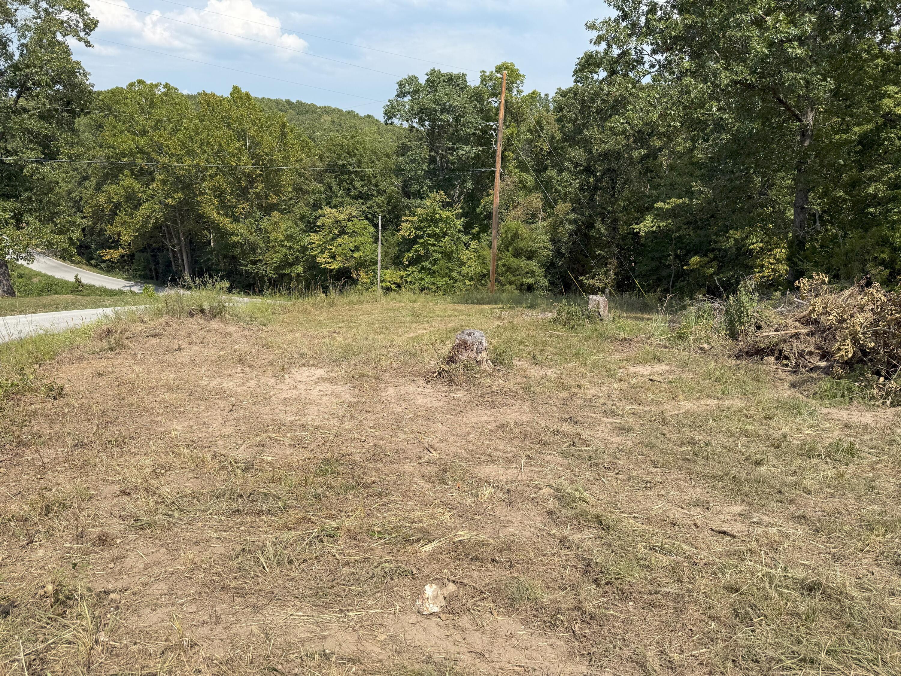Photo 13 - Land for sale – 000  Black Oak Resort Lane  Lampe, MO