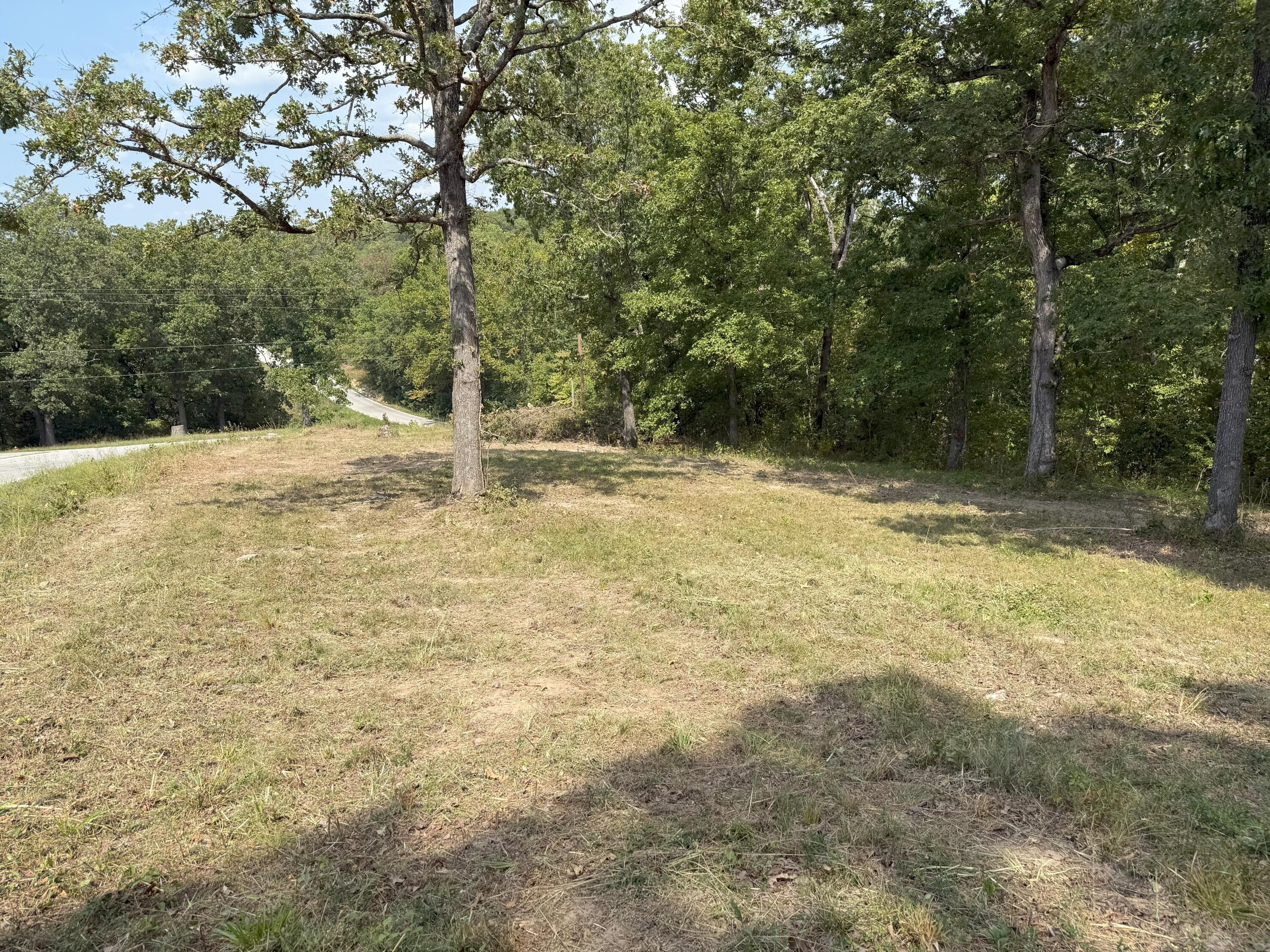 Photo 18 - Land for sale – 000  Black Oak Resort Lane  Lampe, MO