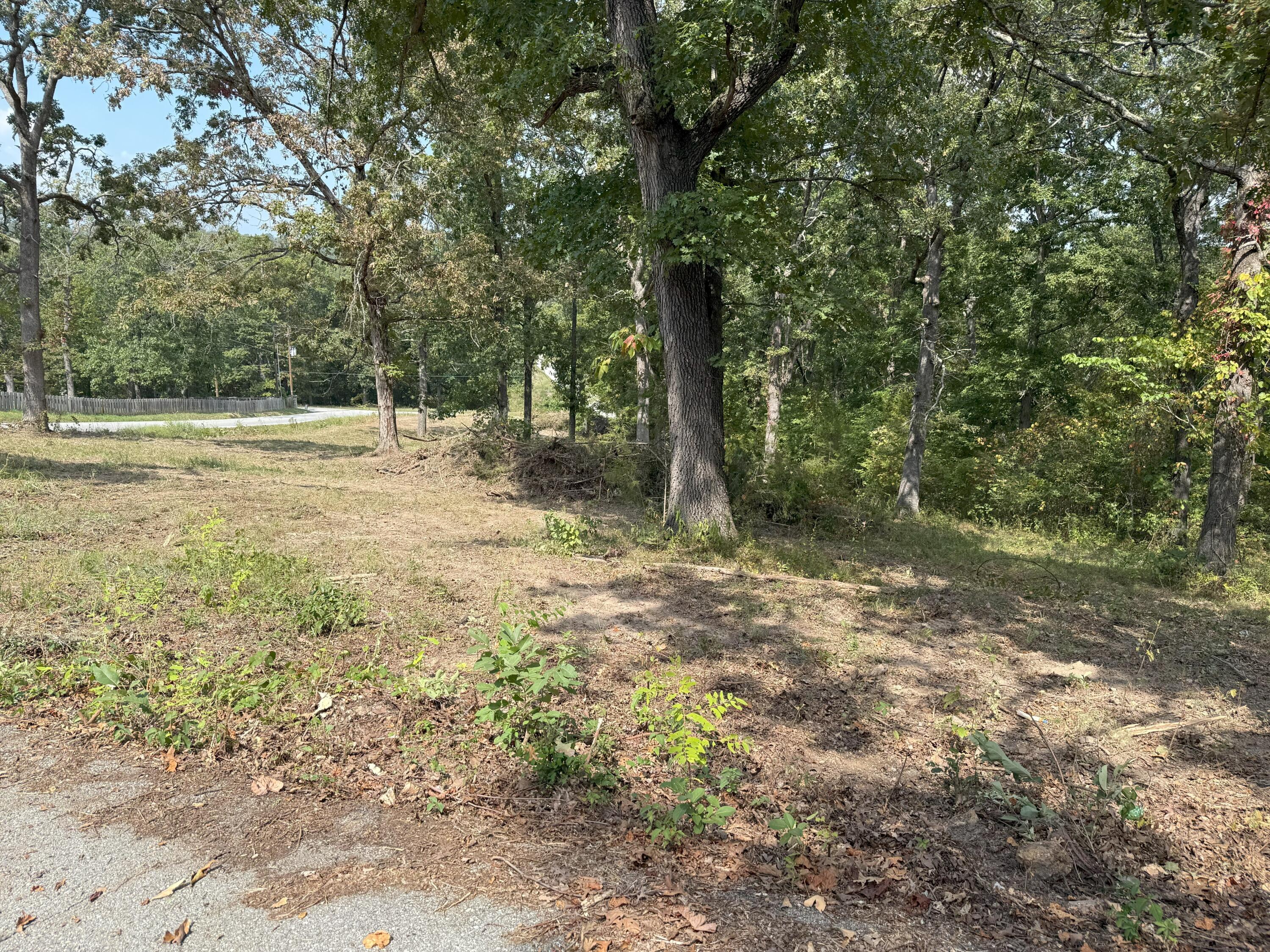 Photo 17 - Land for sale – 000  Black Oak Resort Lane  Lampe, MO
