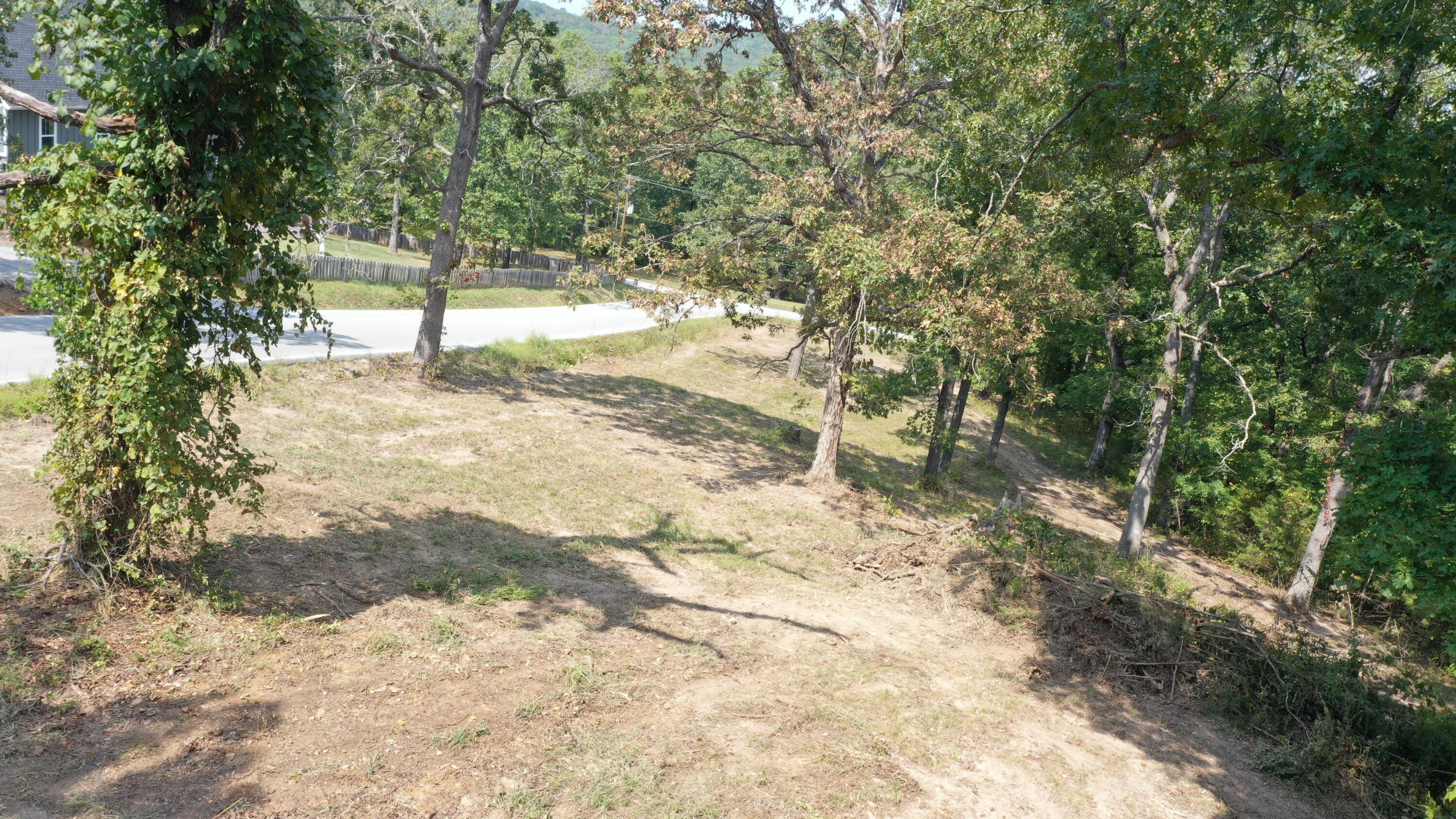 Photo 6 - Land for sale – 000  Black Oak Resort Lane  Lampe, MO
