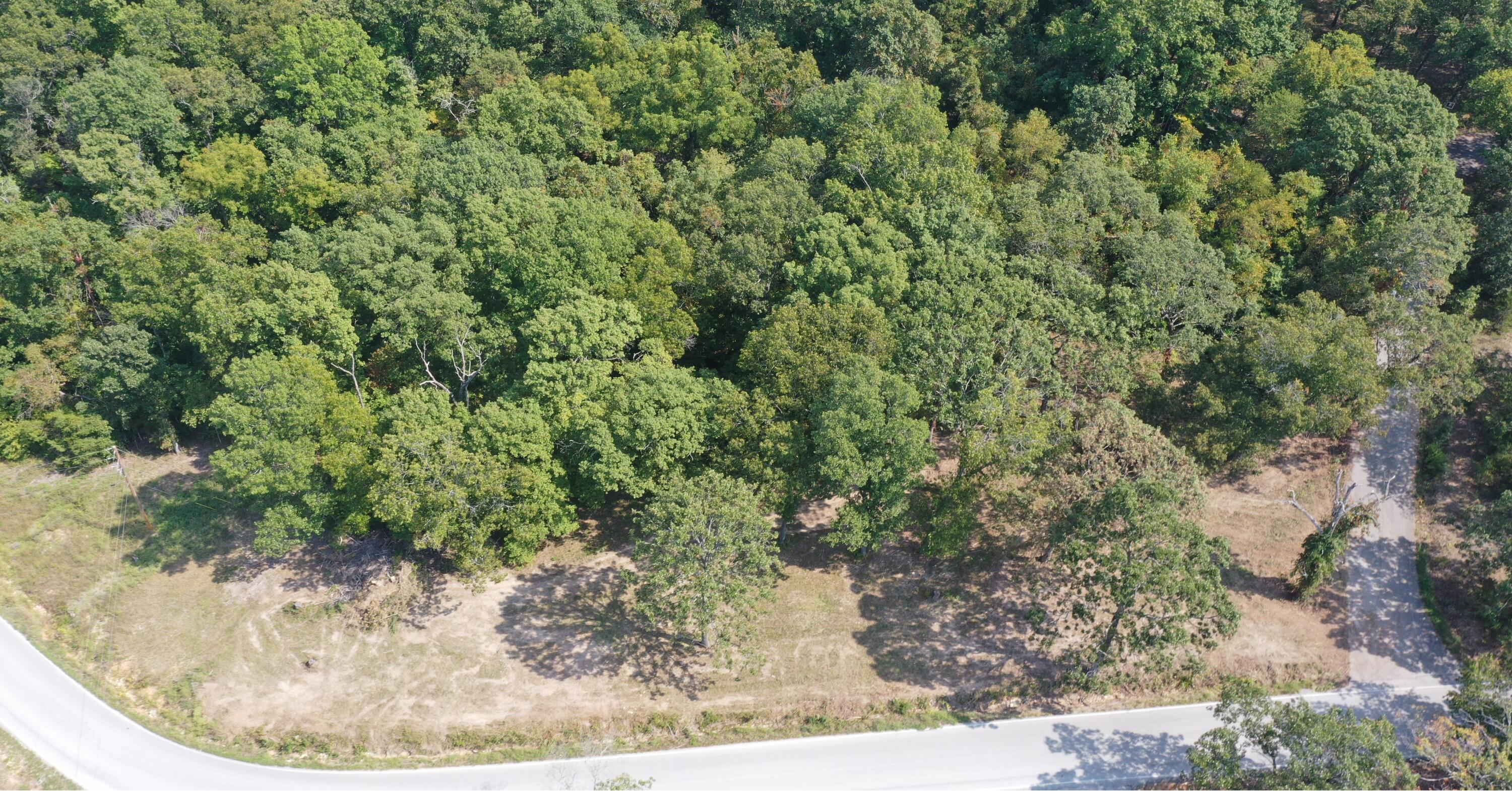 Photo 4 - Land for sale – 000  Black Oak Resort Lane  Lampe, MO