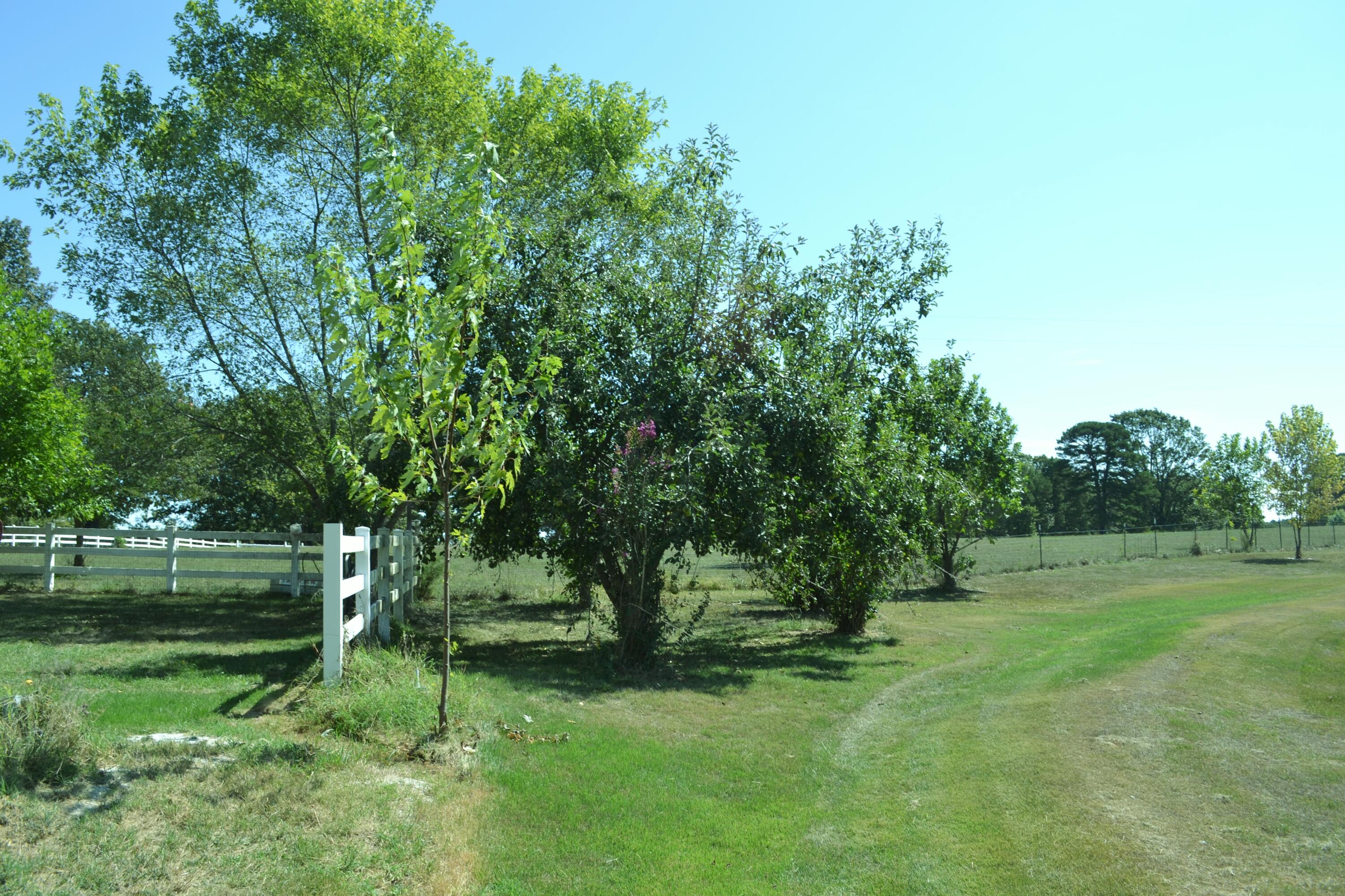 Photo 17 - Farm for sale – 33202  Missouri State Highway East 14   Ava, MO