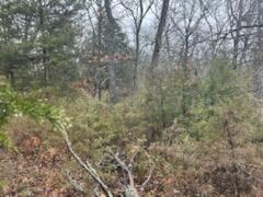Photo 7 - Land for sale – 000 (Tbd)  Mockingbird Road  Merriam Woods, MO
