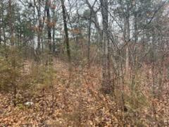 Photo 11 - Land for sale – 000 (Tbd)  Mockingbird Road  Merriam Woods, MO