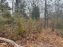 Photo 10 - Land for sale – 000 (Tbd)  Mockingbird Road  Merriam Woods, MO