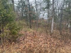 Photo 2 - Land for sale – 000 (Tbd)  Mockingbird Road  Merriam Woods, MO
