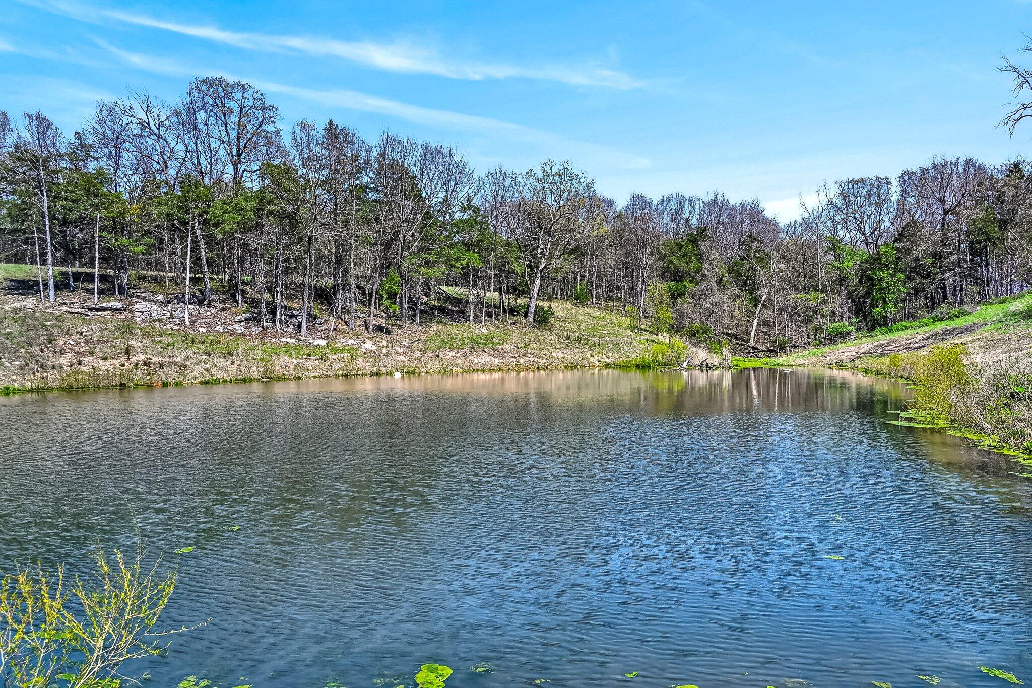 Photo 44 - Residential for sale – 775 E 505th Road  Aldrich, MO
