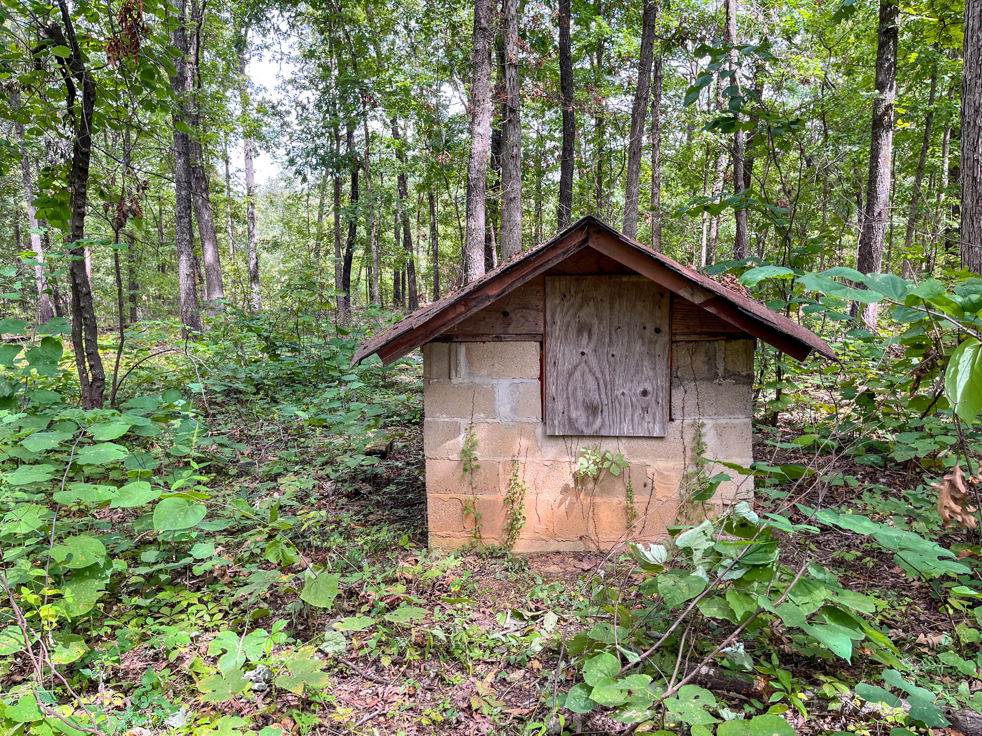 Photo 12 - Land for sale – 10140  County Road 6610   West Plains, MO