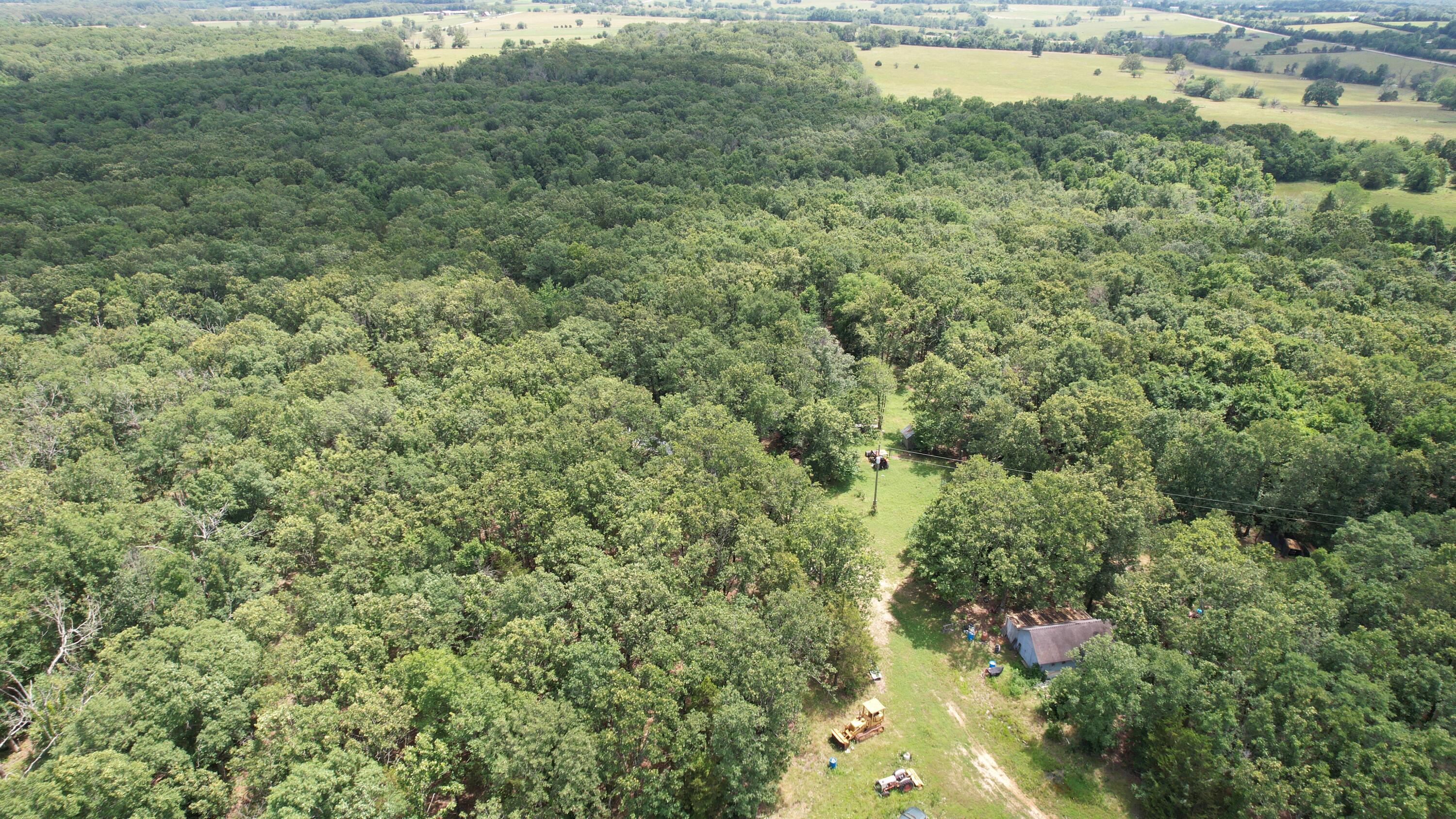 Photo 4 - Land for sale – 1  State Highway 38   Elkland, MO