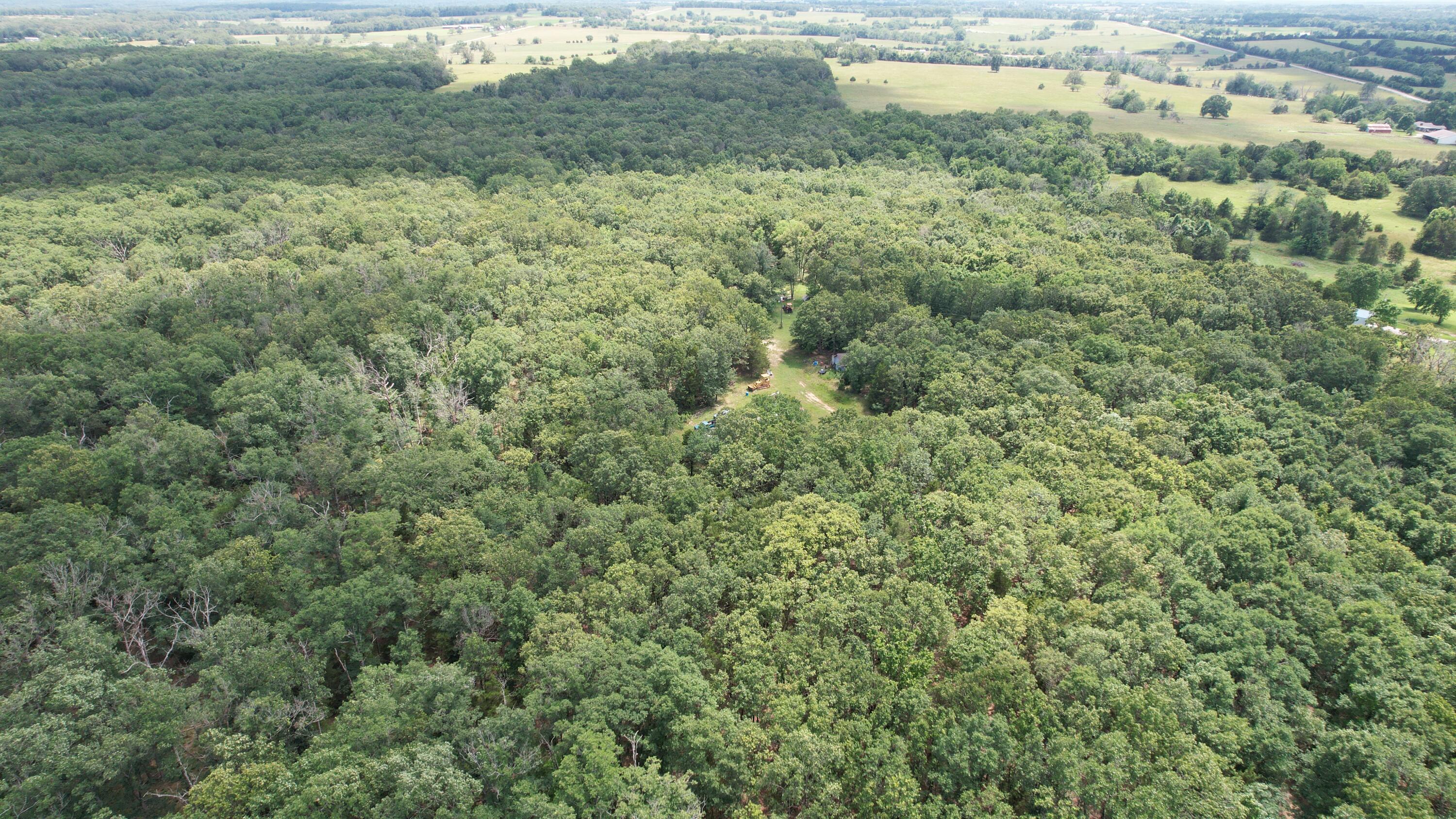 Photo 3 - Land for sale – 1  State Highway 38   Elkland, MO