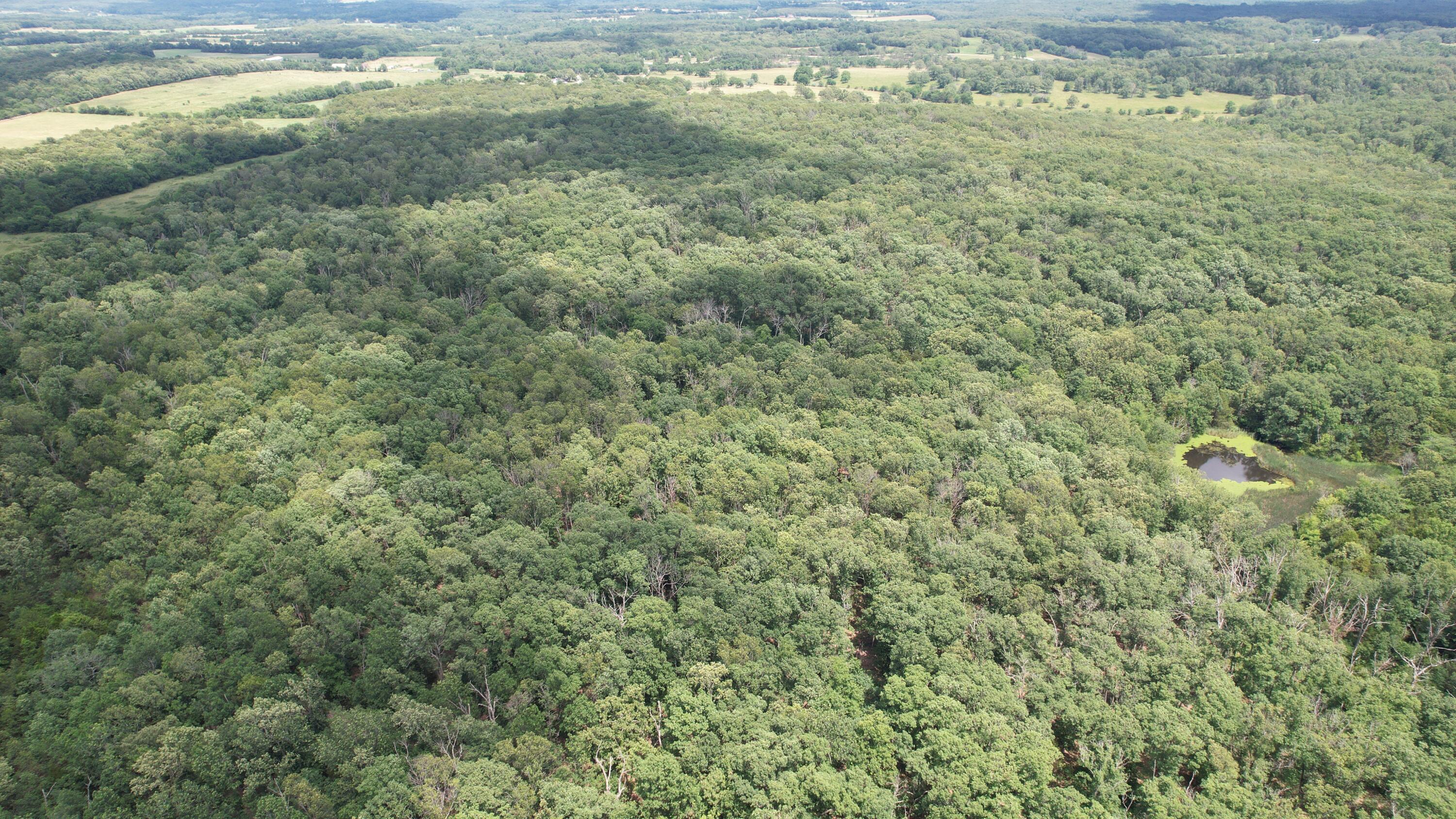 Photo 5 - Land for sale – 1  State Highway 38   Elkland, MO