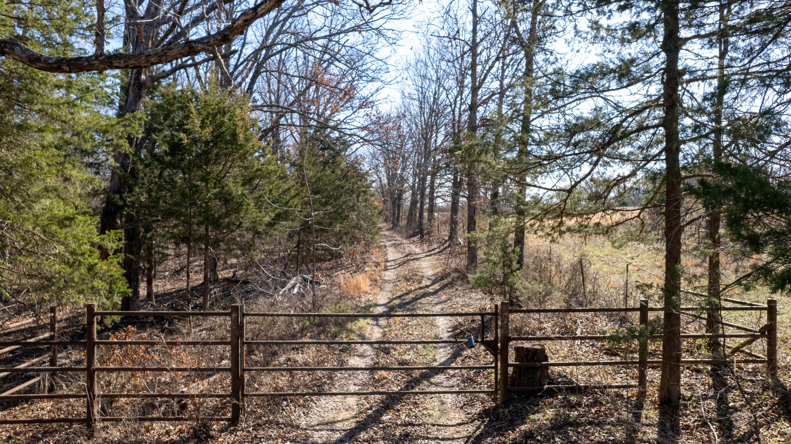 Photo 7 - Land for sale – 1  State Highway 38   Elkland, MO