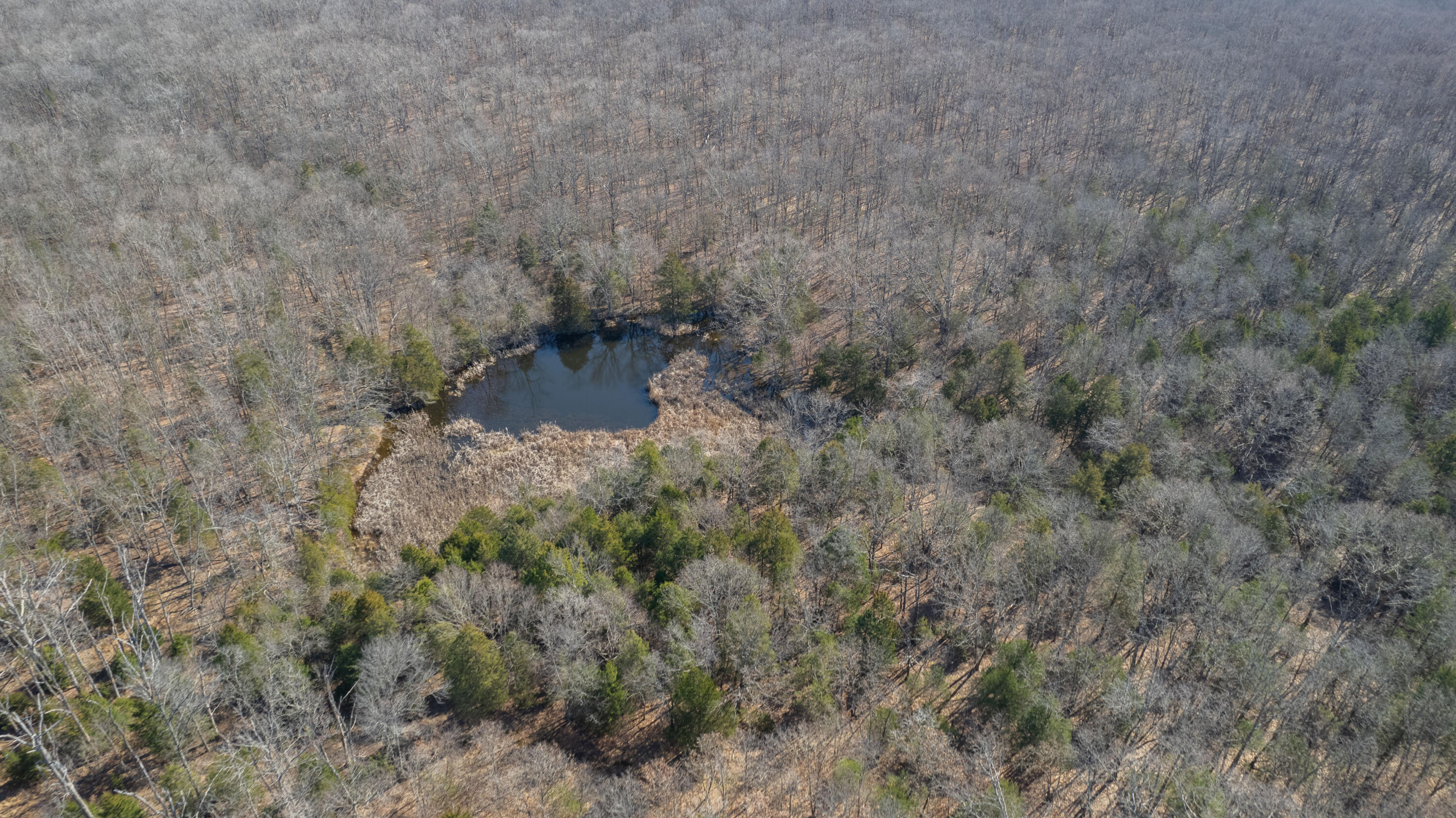 Photo 8 - Land for sale – 1  State Highway 38   Elkland, MO
