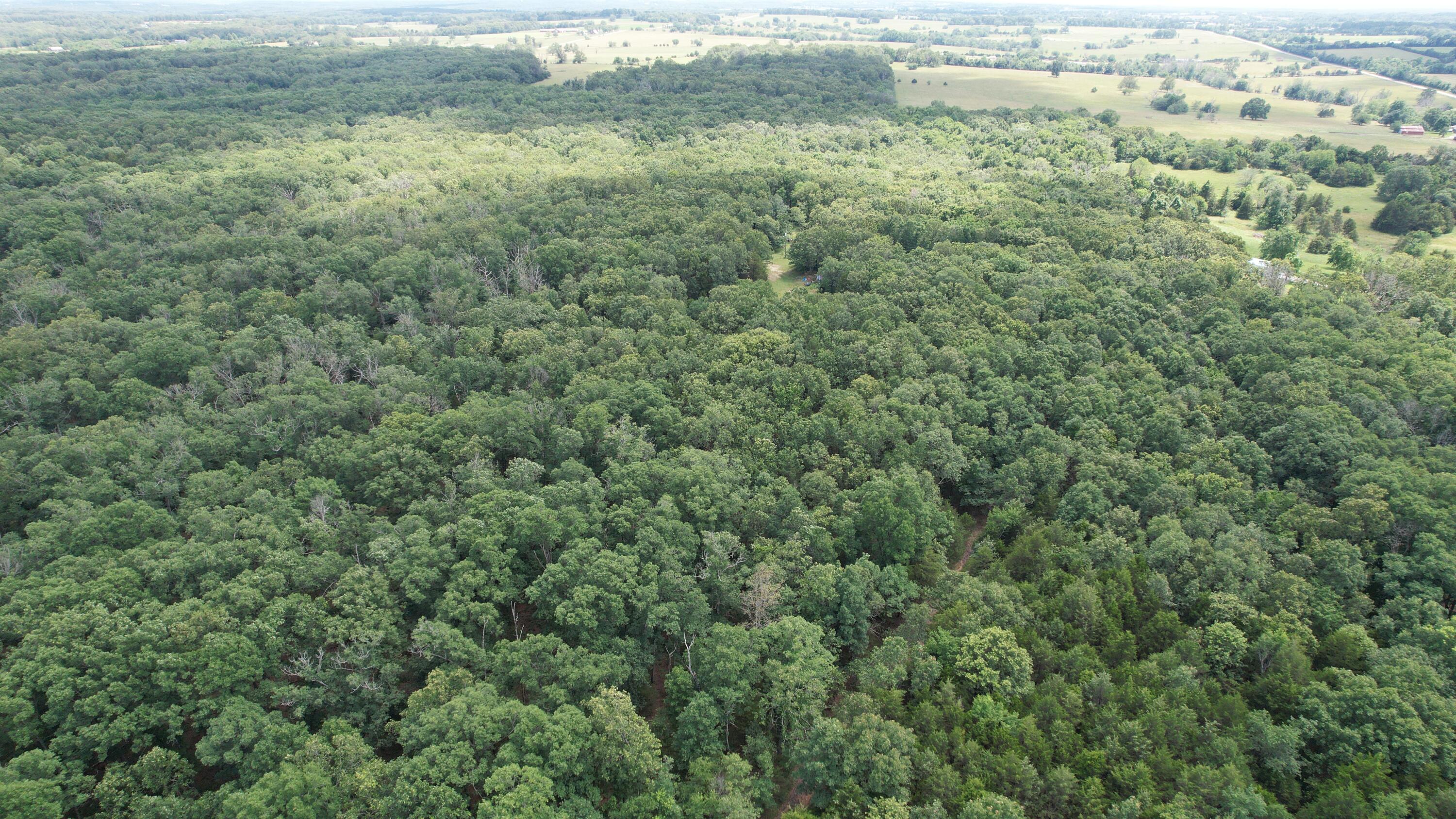Photo 6 - Land for sale – 1  State Highway 38   Elkland, MO