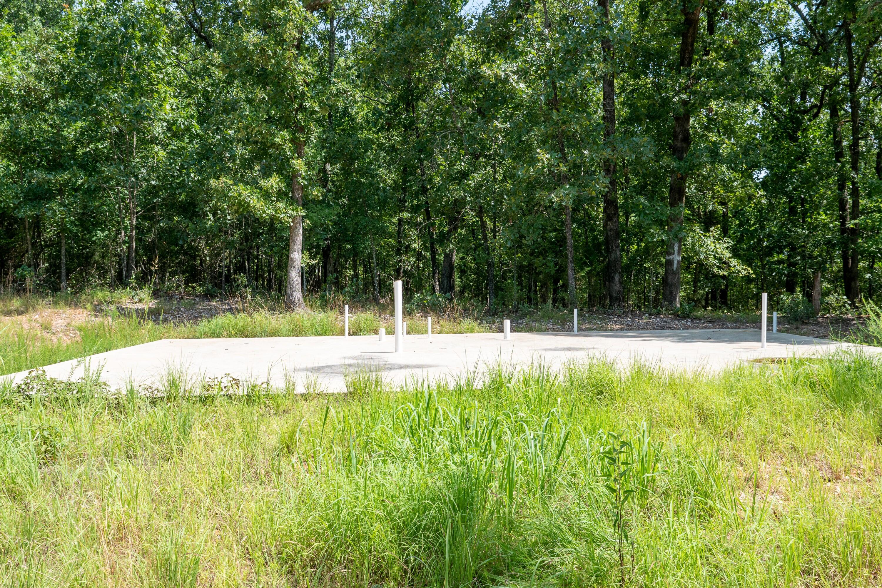 Photo 13 - Land for sale – 000  Lakeview Drive  Protem, MO