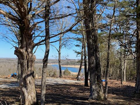 Photo 18 - Land for sale – 000  Lakeview Drive  Protem, MO
