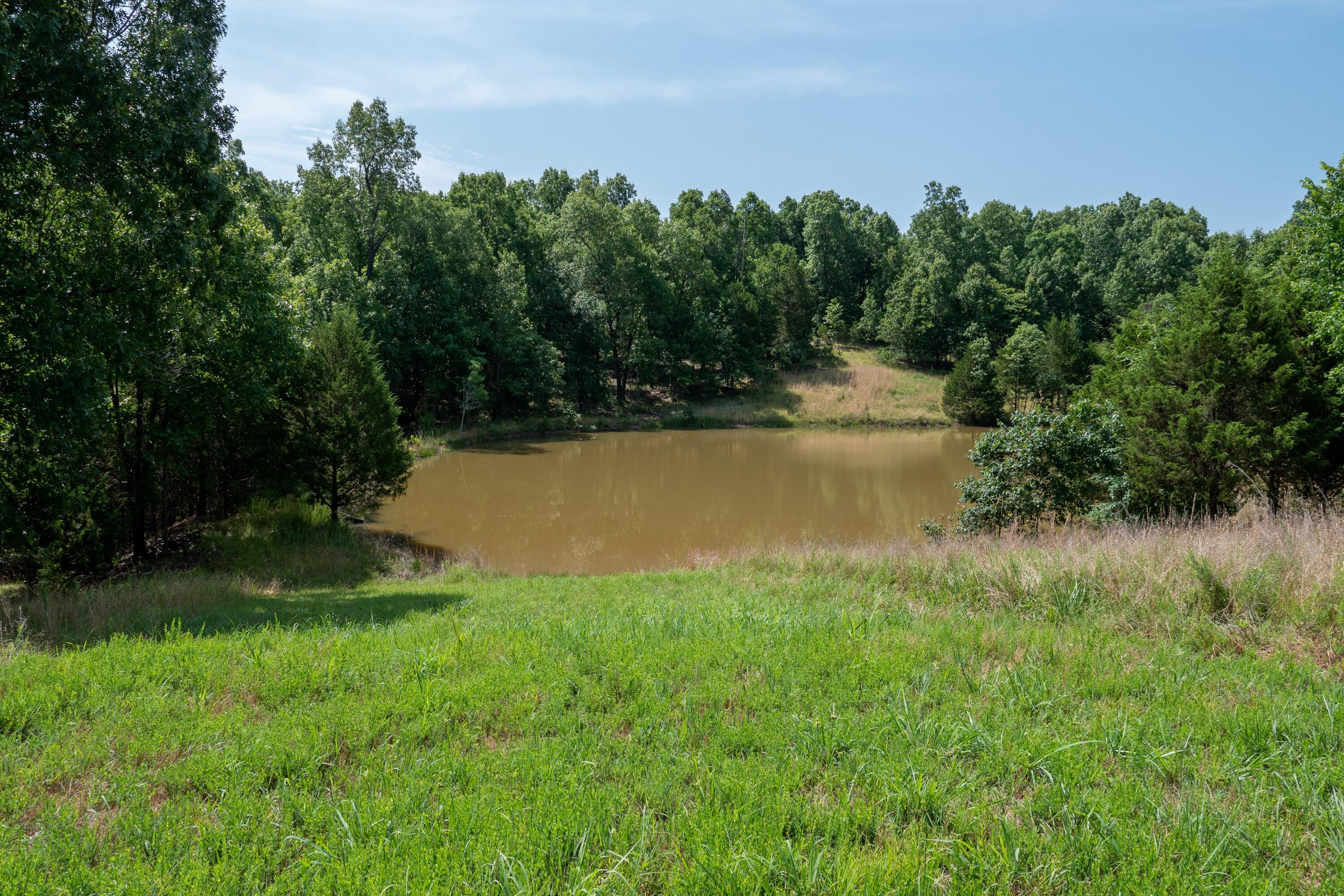 Photo 23 - Land for sale – 000  Lakeshore Road  Protem, MO