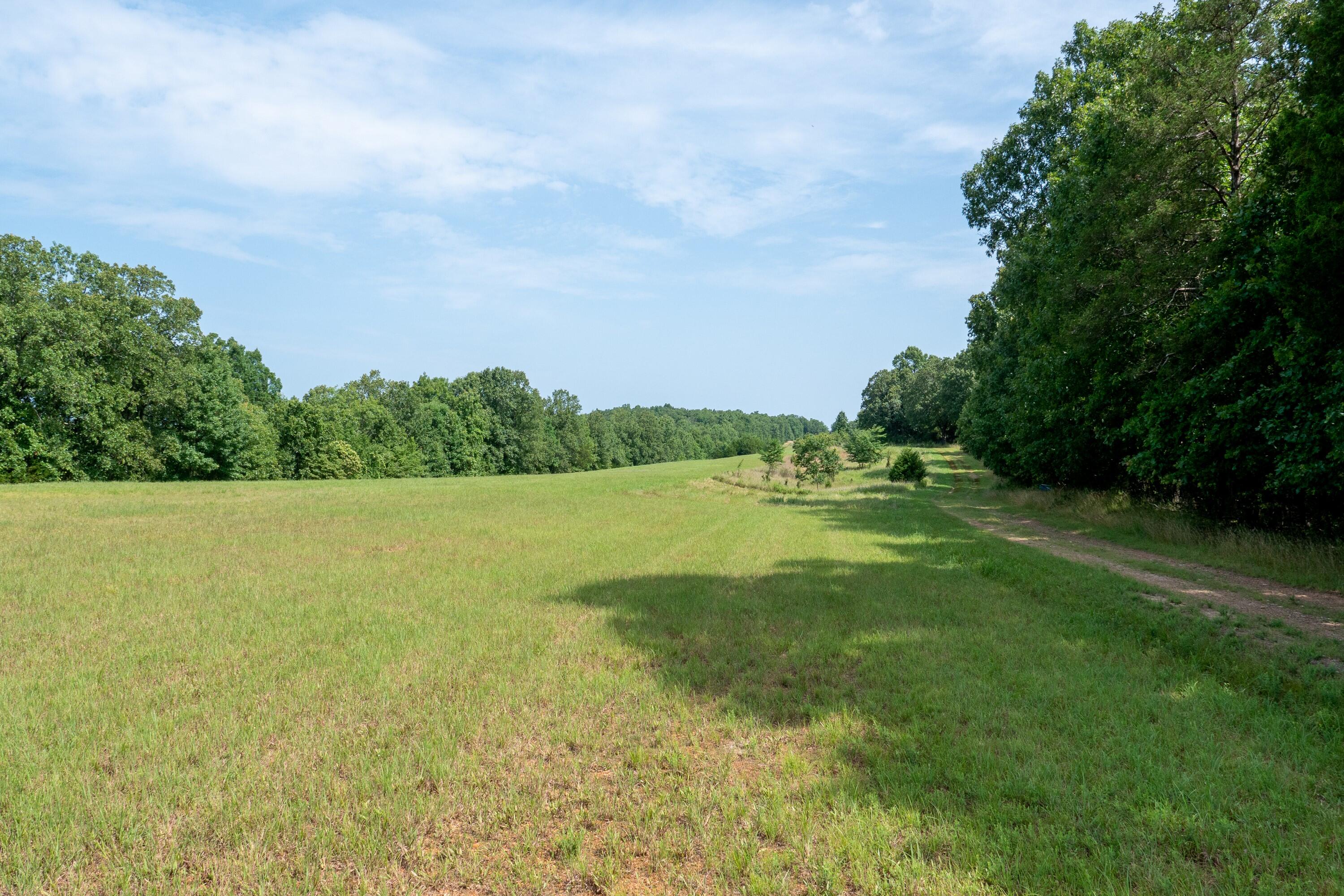 Photo 9 - Land for sale – 000  Lakeshore Road  Protem, MO
