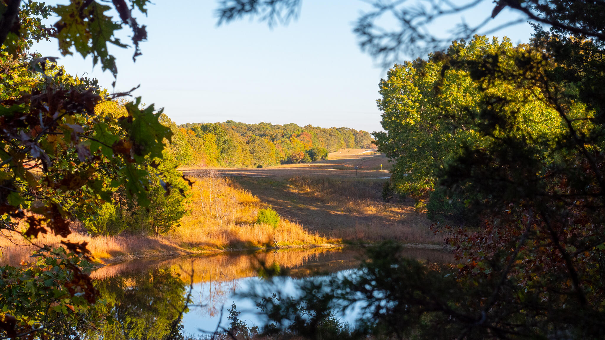 Photo 49 - Land for sale – 000  Shoal Creek Drive  Protem, MO