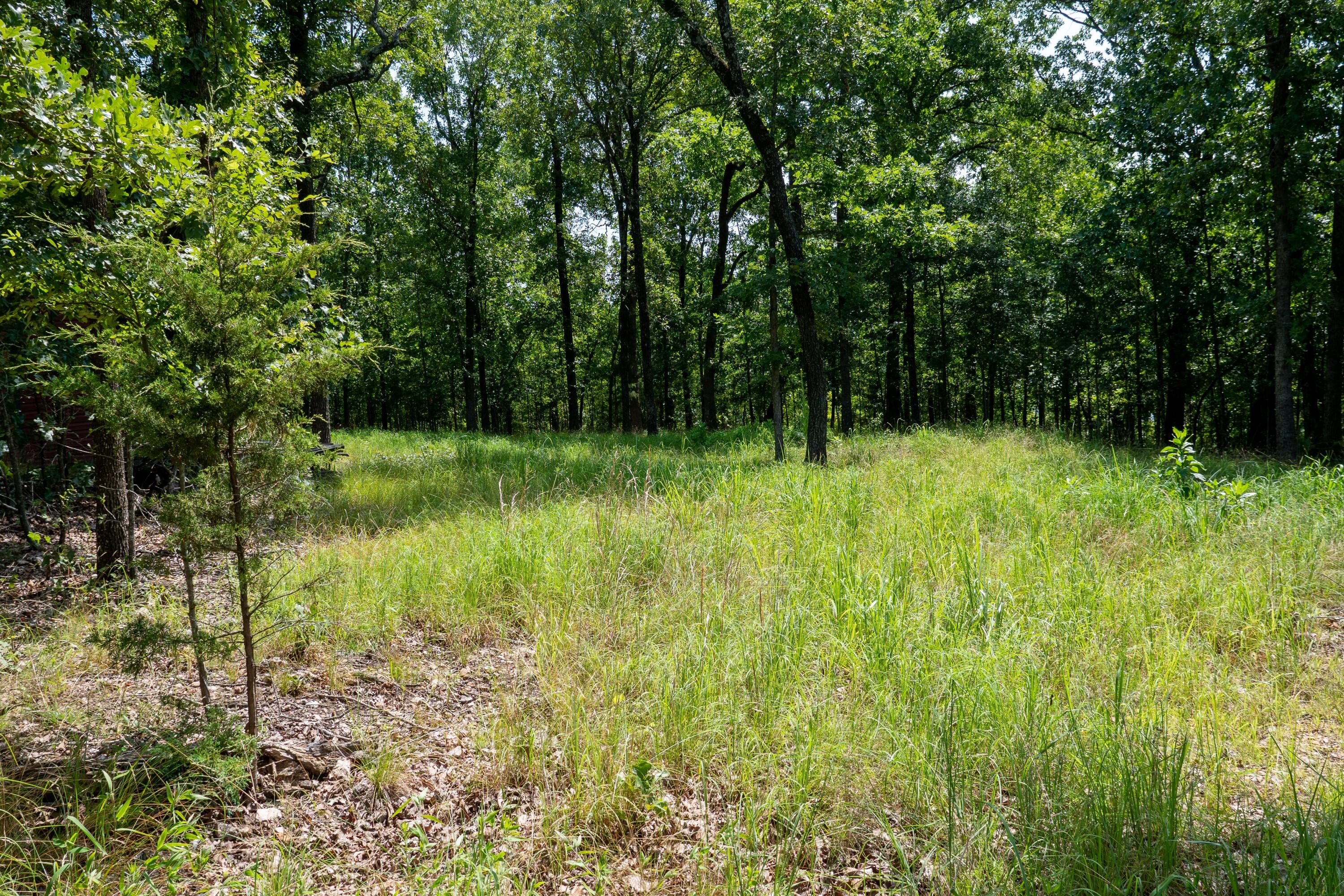 Photo 11 - Land for sale – 000  Shore Cove   Protem, MO