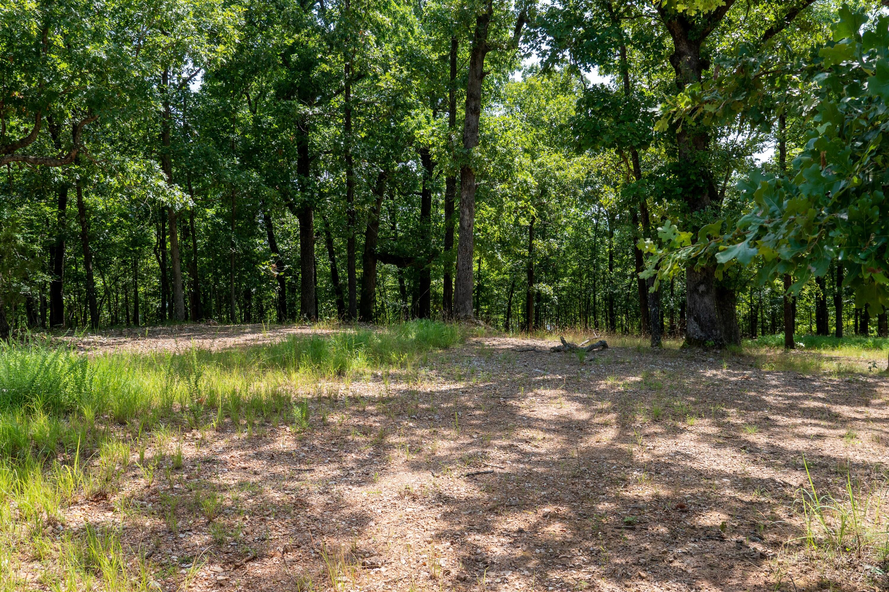 Photo 15 - Land for sale – 000  Shore Cove   Protem, MO