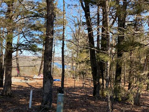 Photo 17 - Land for sale – 000  Shore Cove   Protem, MO