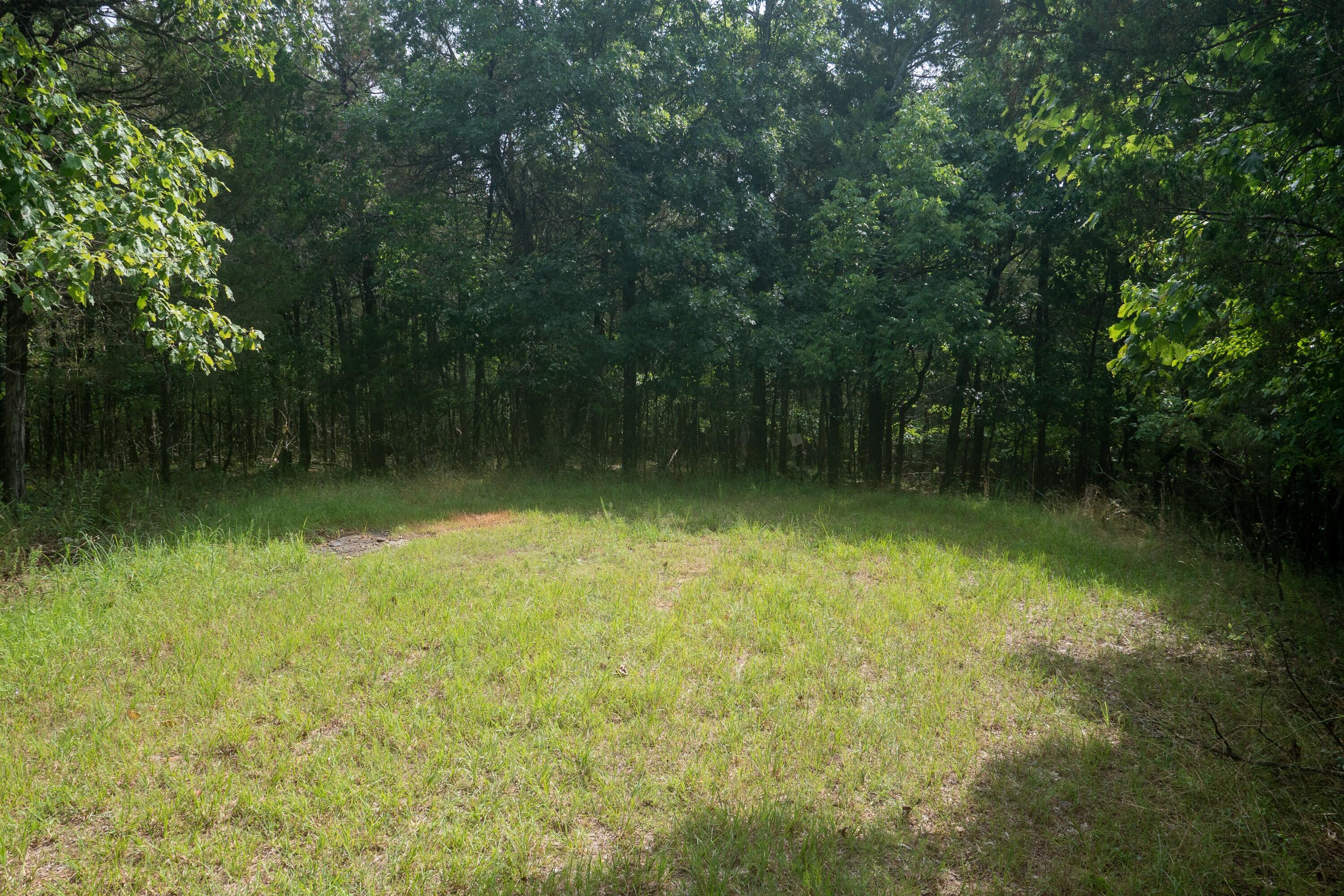 Photo 7 - Land for sale – 000  Shore Cove   Protem, MO