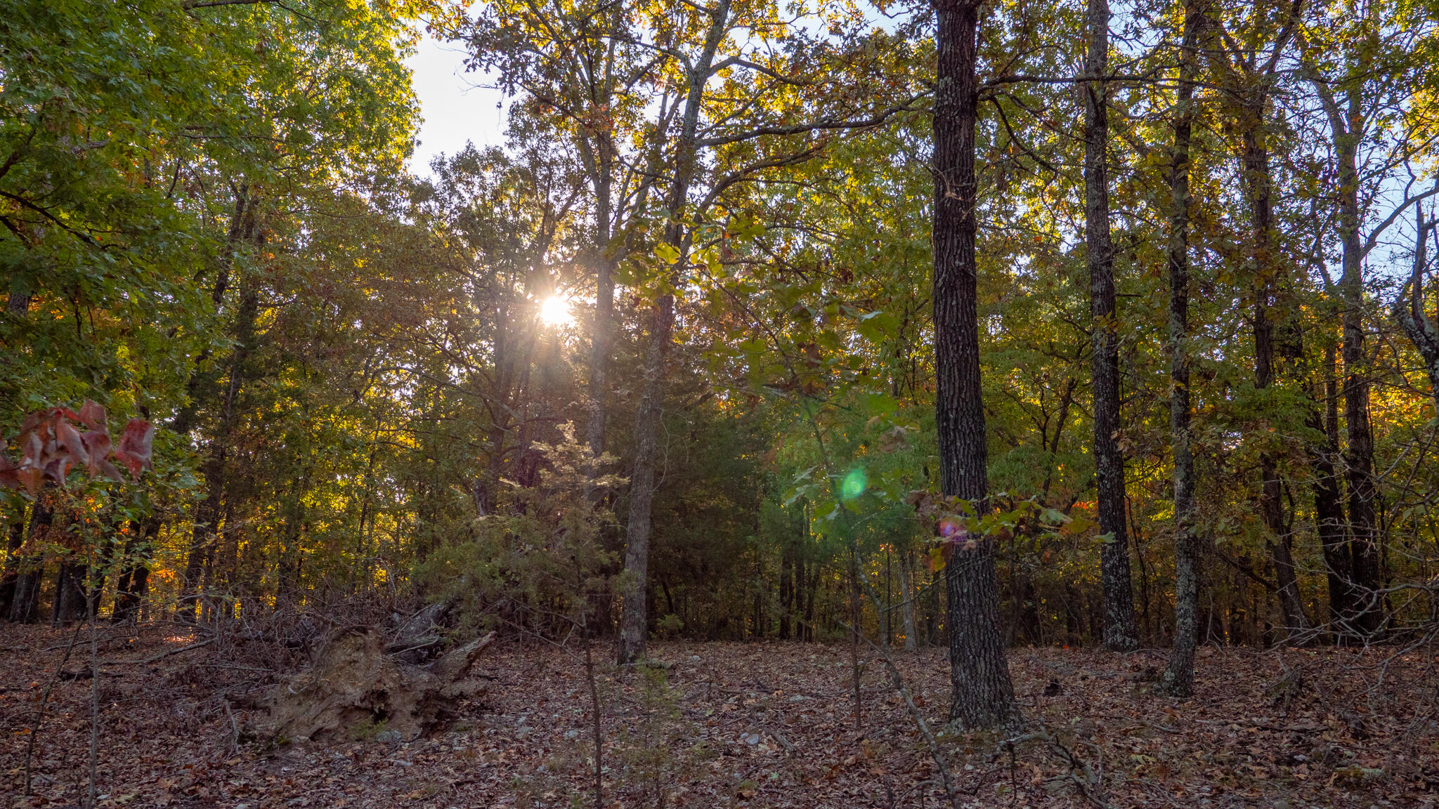 Photo 47 - Land for sale – 000  Lakeview Drive  Protem, MO
