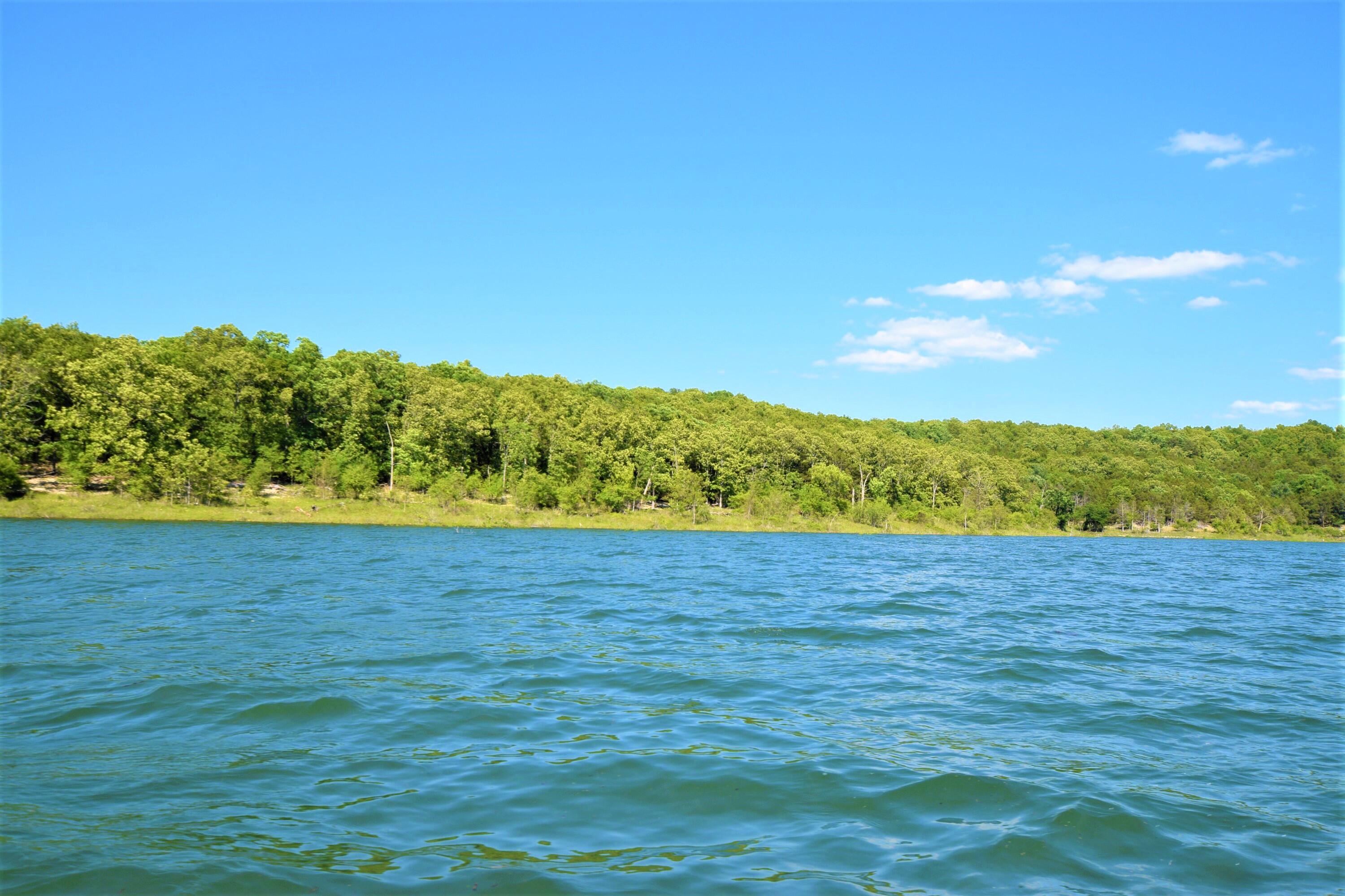 Photo 6 - Land for sale – 000  Lakeview Drive  Protem, MO