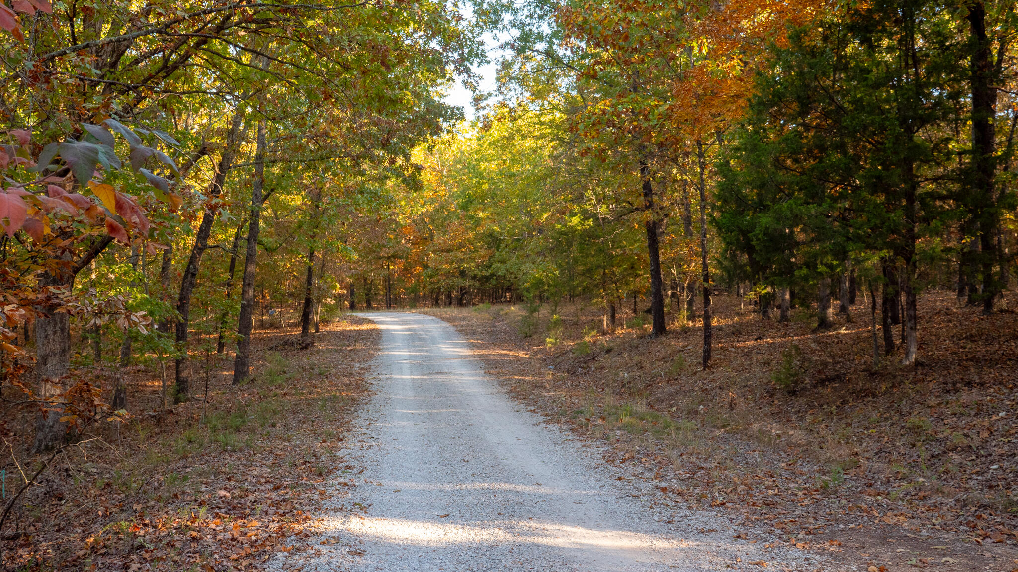 Photo 57 - Land for sale – 000  Lakeview Drive  Protem, MO