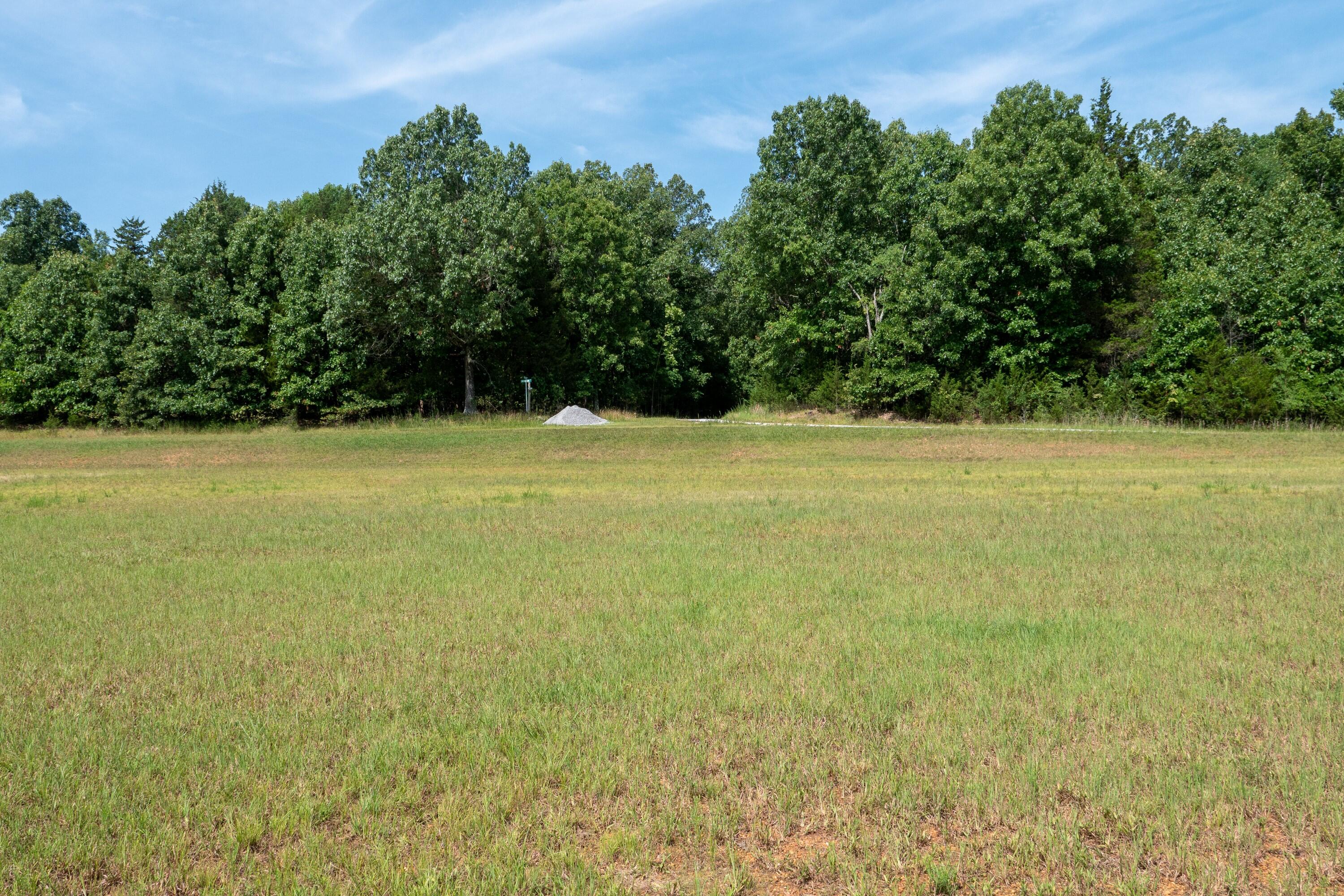Photo 13 - Land for sale – 000  Lakeview Drive  Protem, MO