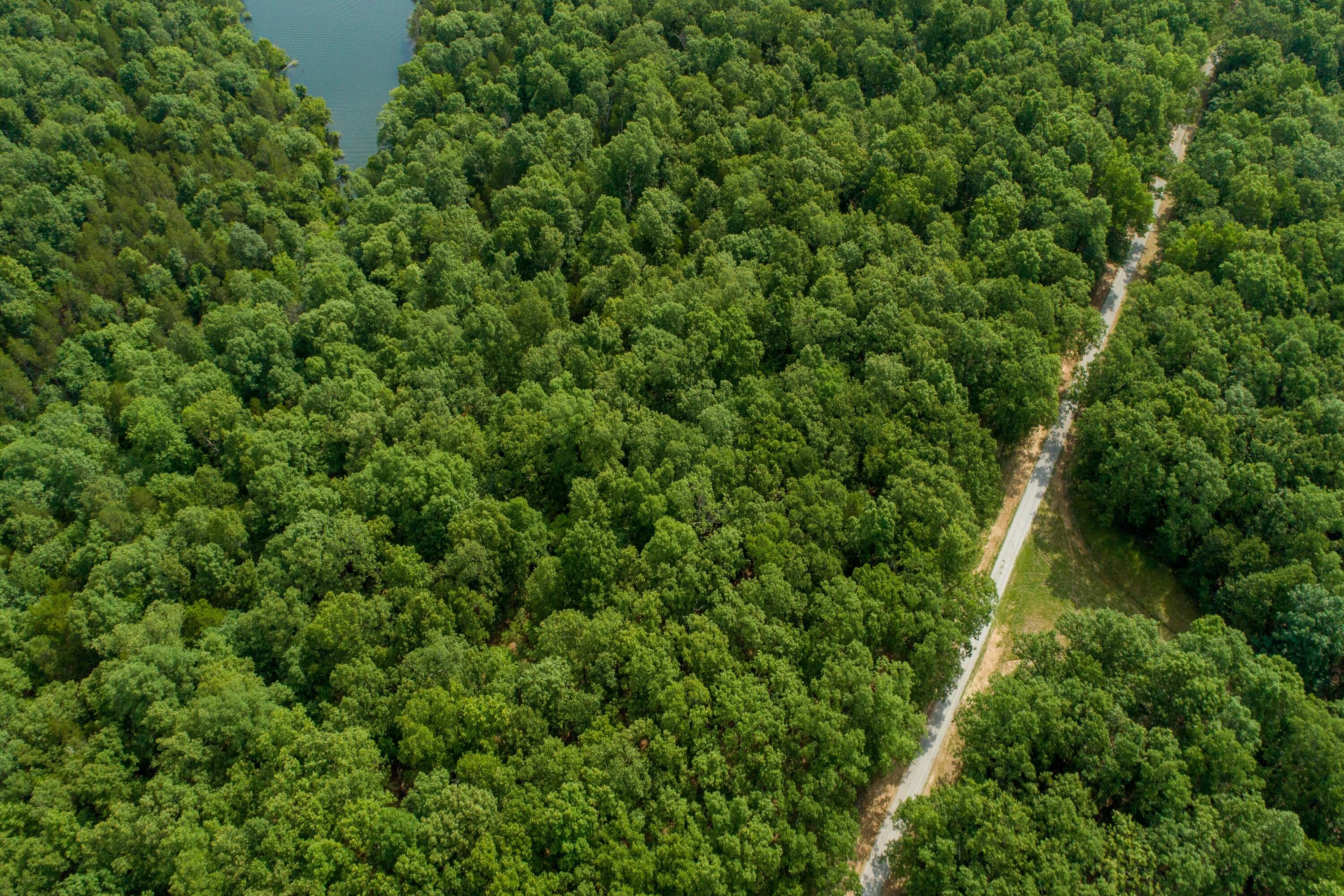 Photo 12 - Land for sale – 000  Lakeview Drive  Protem, MO