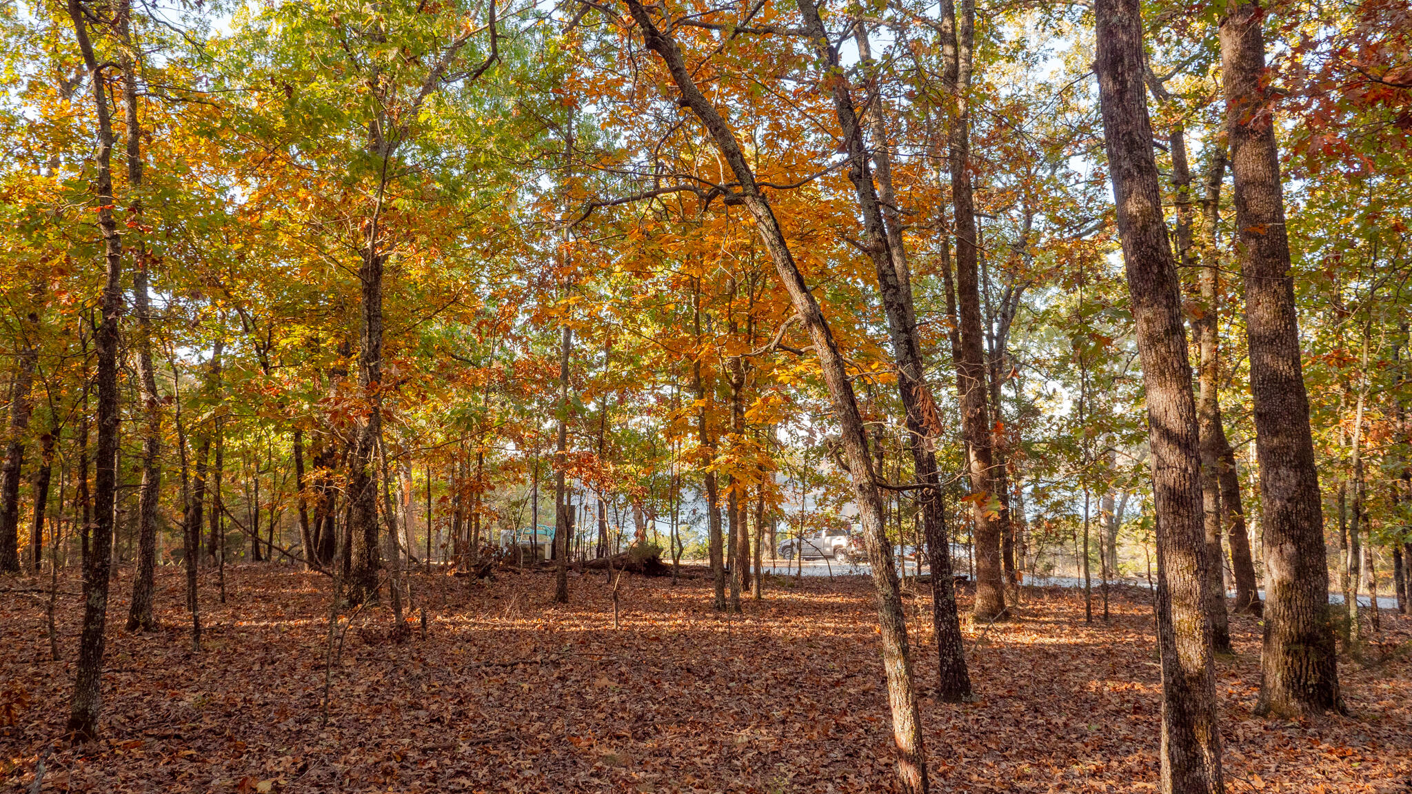 Photo 58 - Land for sale – 000  Lakeview Drive  Protem, MO